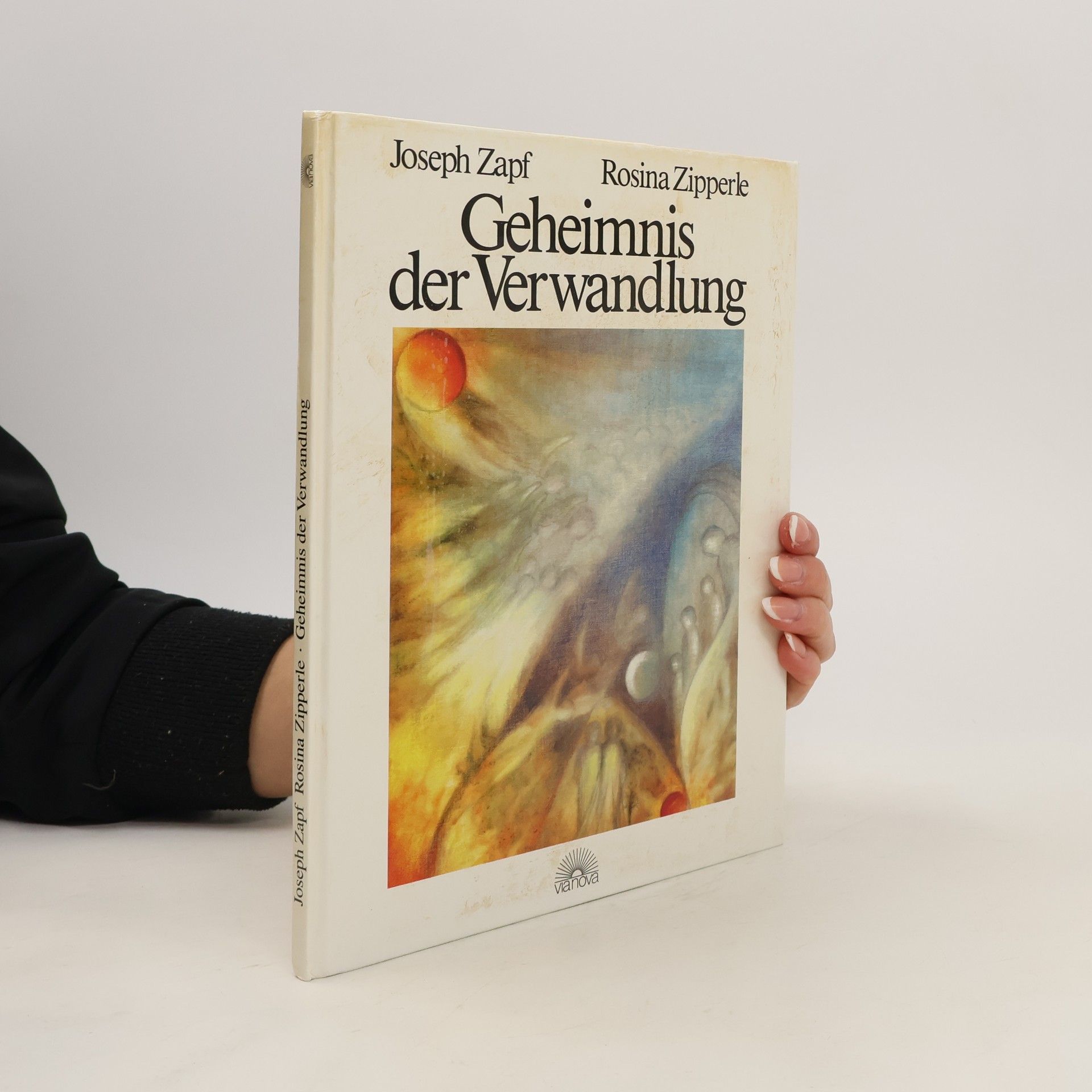 Joseph Zapf Geheimnis der Verwandlung
