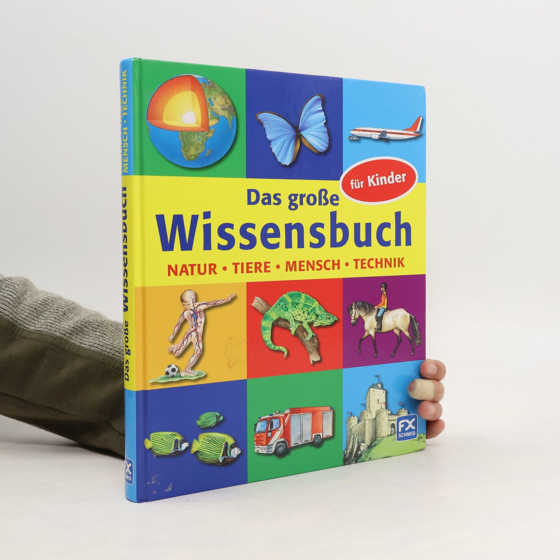 Patricia Mennen Das große Wissensbuch