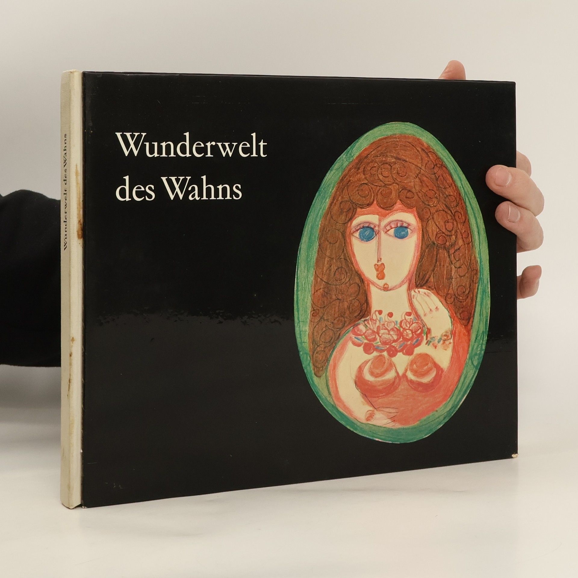 Kolektiv autorů Wunderwelt des Wahns