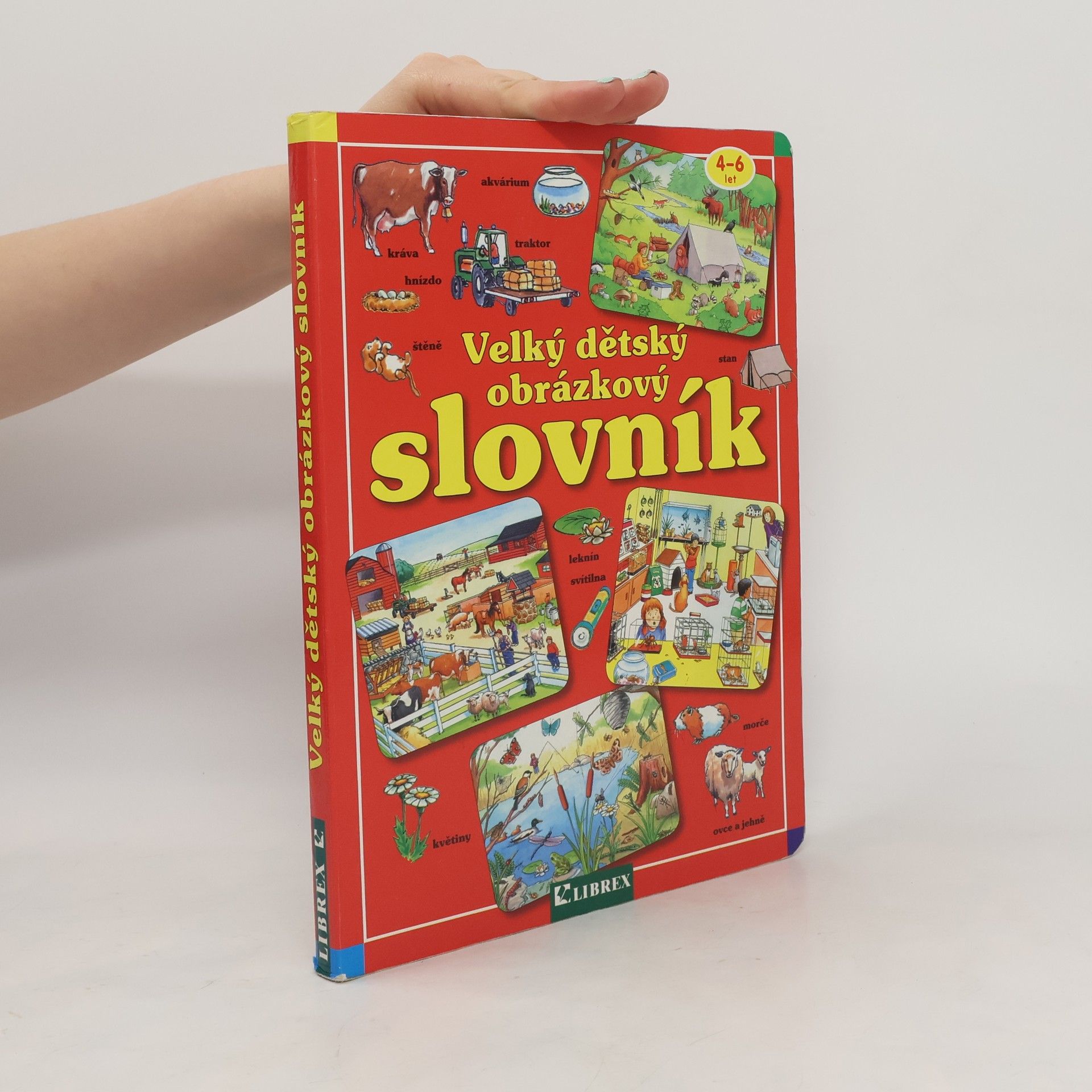 Autores varios Velký dětský obrázkový slovník