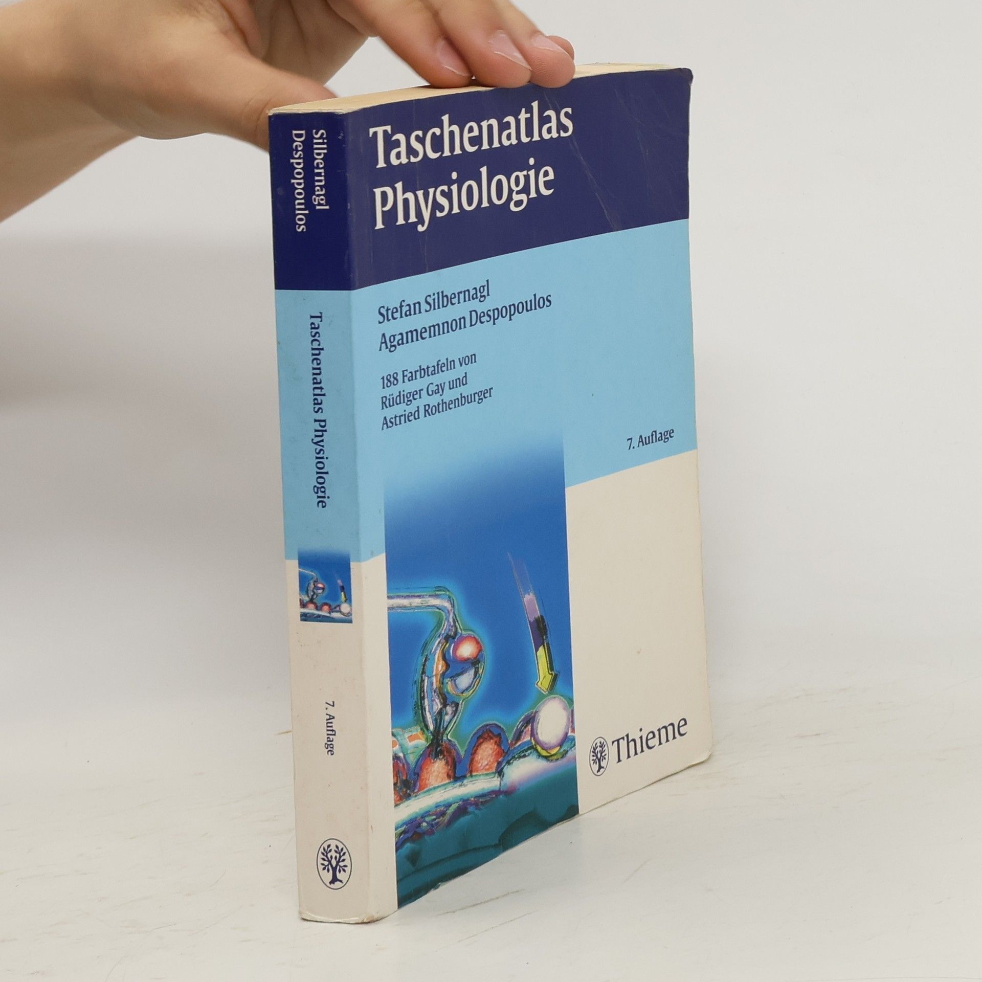 Stefan Silbernagl Taschenatlas Physiologie
