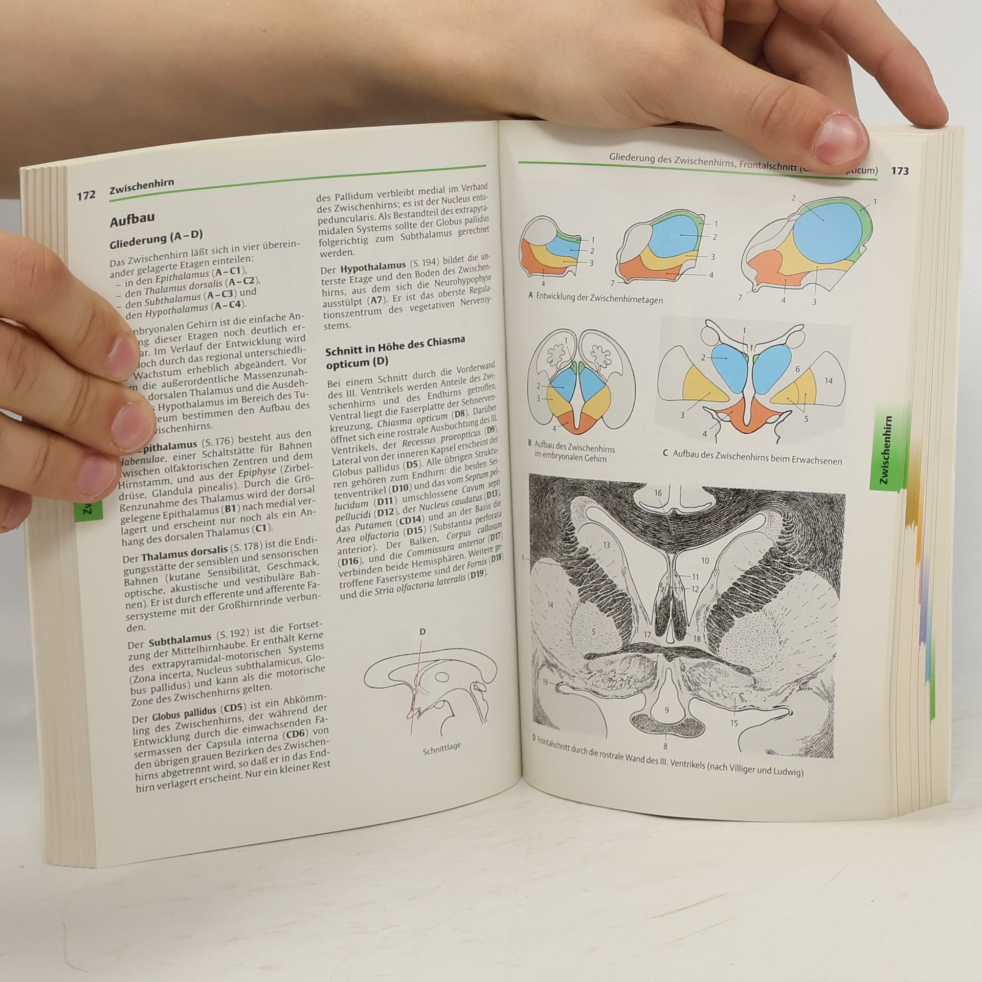 W. Werner Kahle Taschenatlas Anatomie