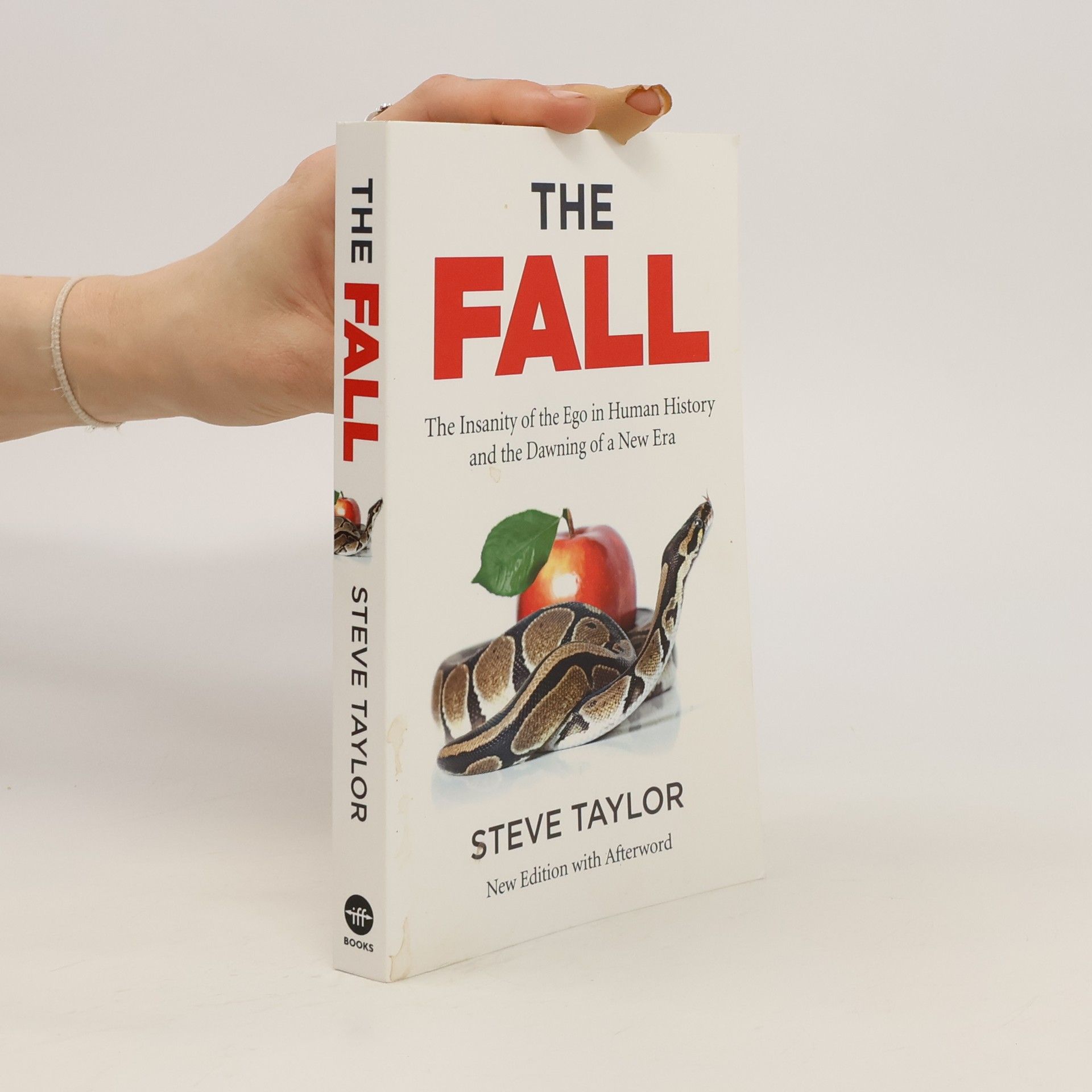 Steve Taylor Fall, The (new edition with Afterword)