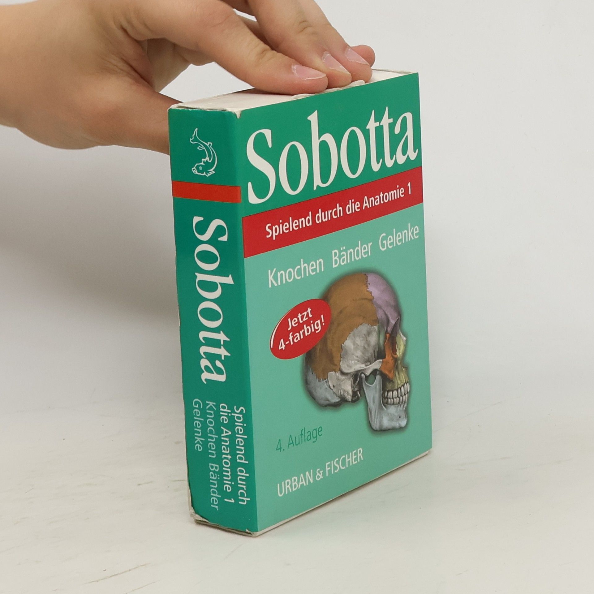 Autorenkollektiv Spielend durch die Anatomie