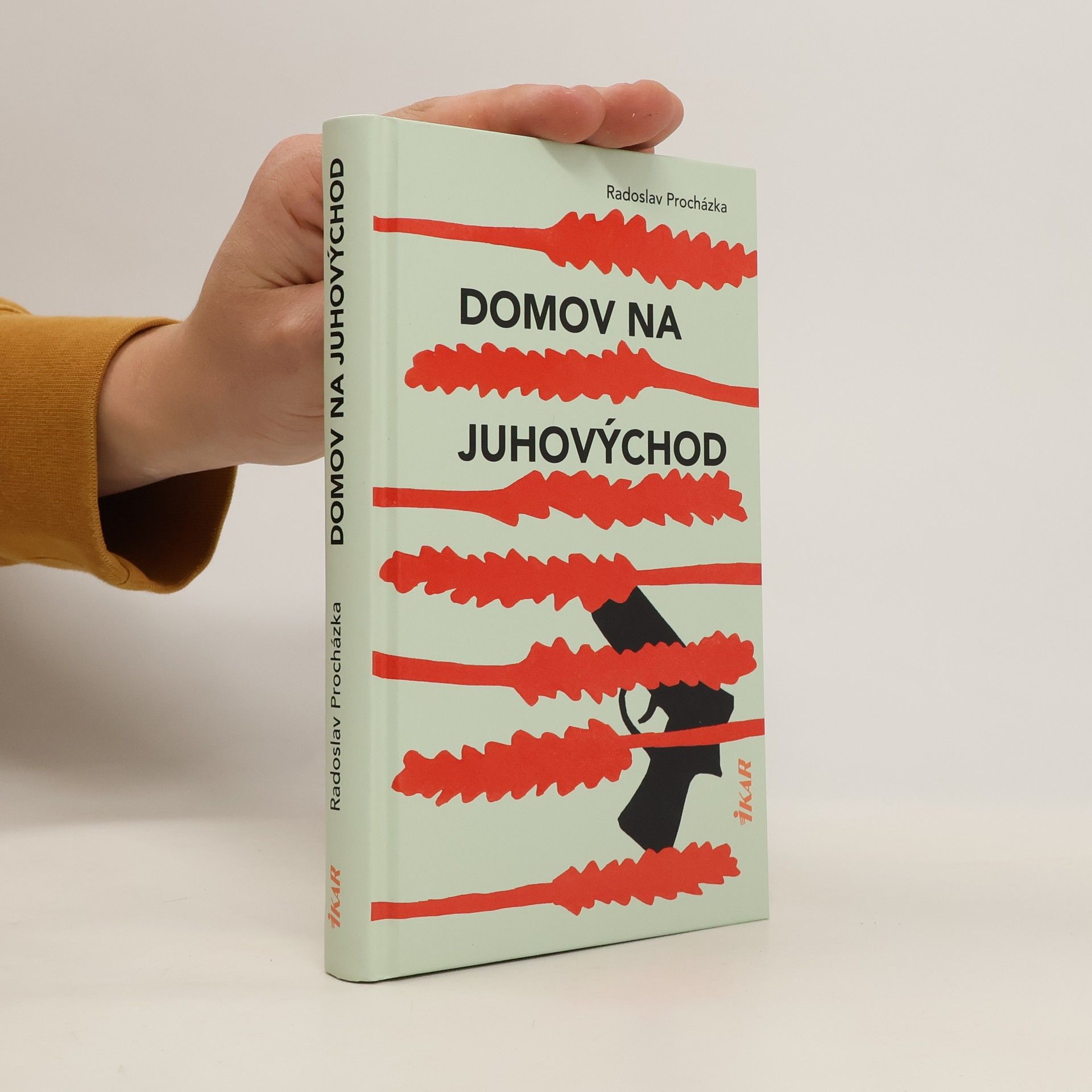 Radoslavv Procházka Domov na juhovýchod