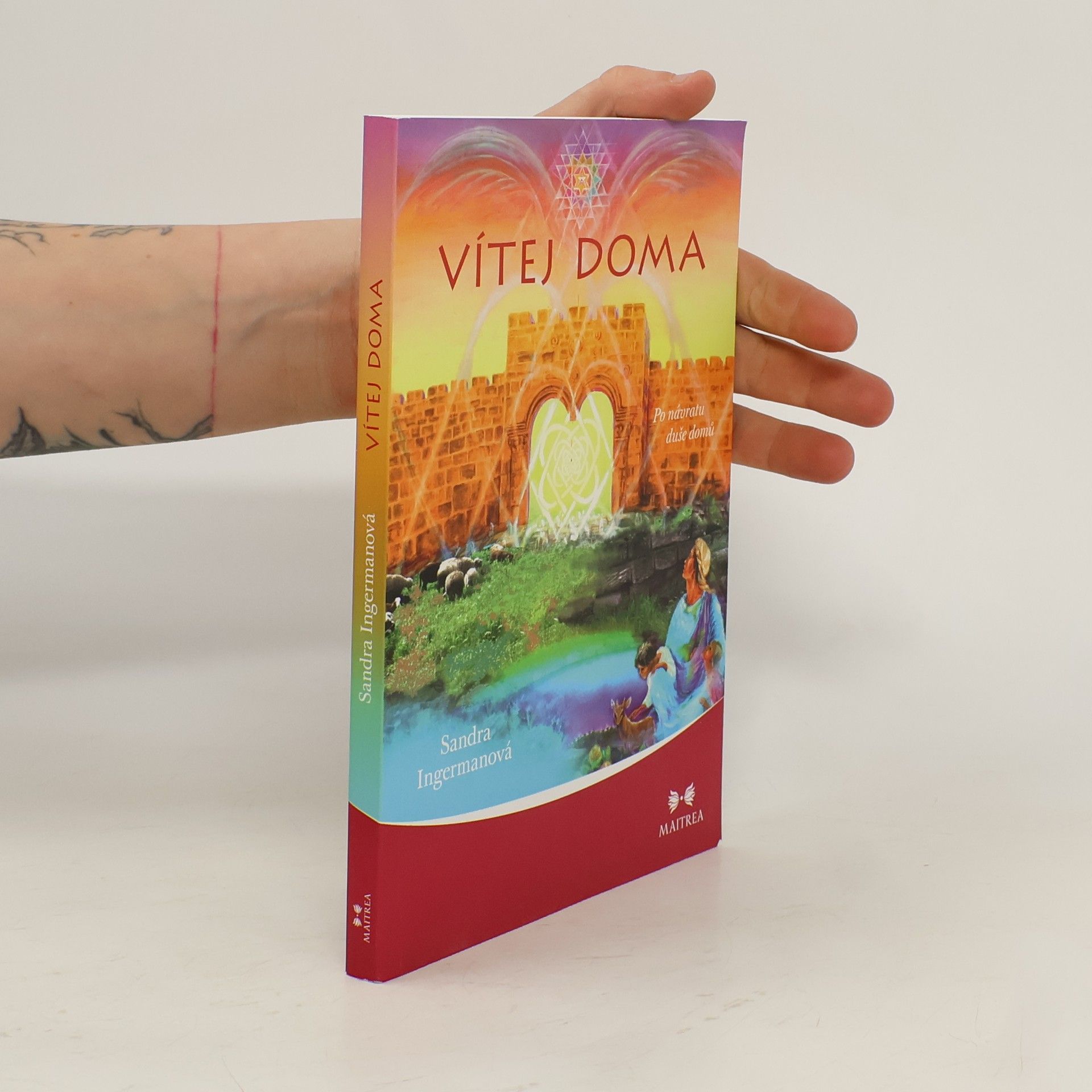 Sandra Ingerman Vítej doma - Po návratu duše domů