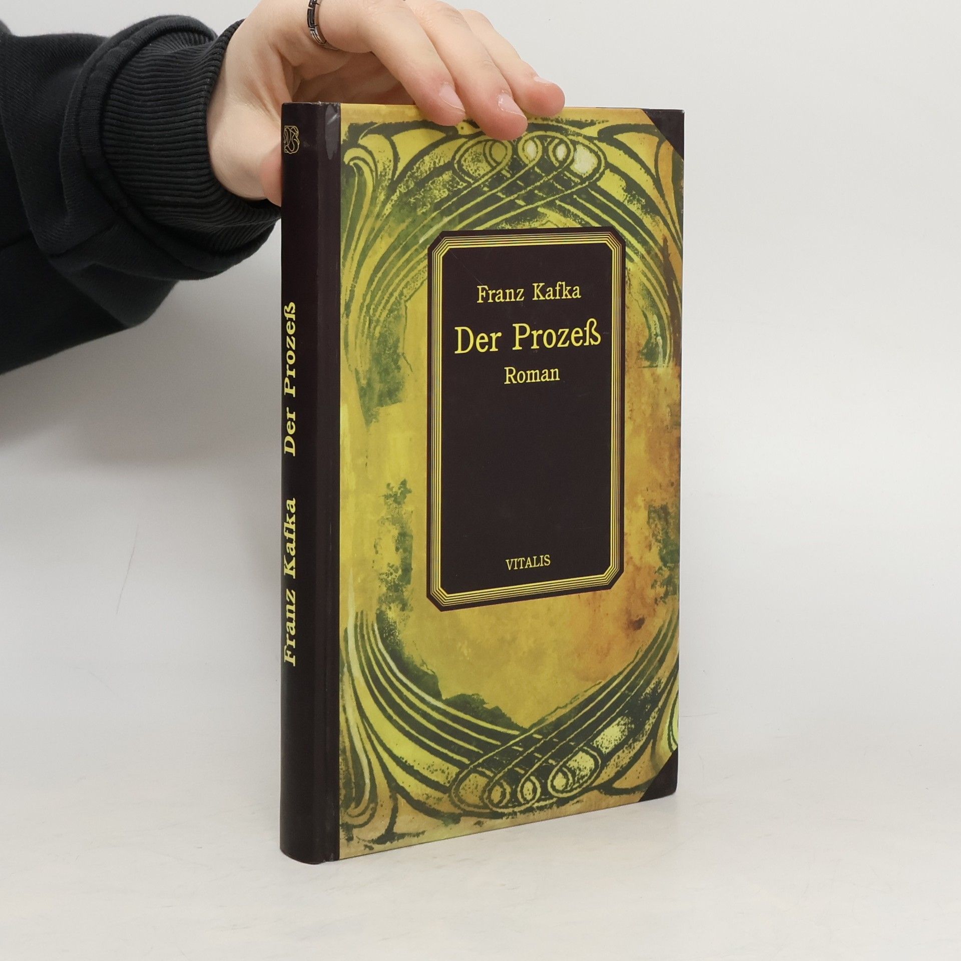Franz Kafka Der Prozeß : Roman