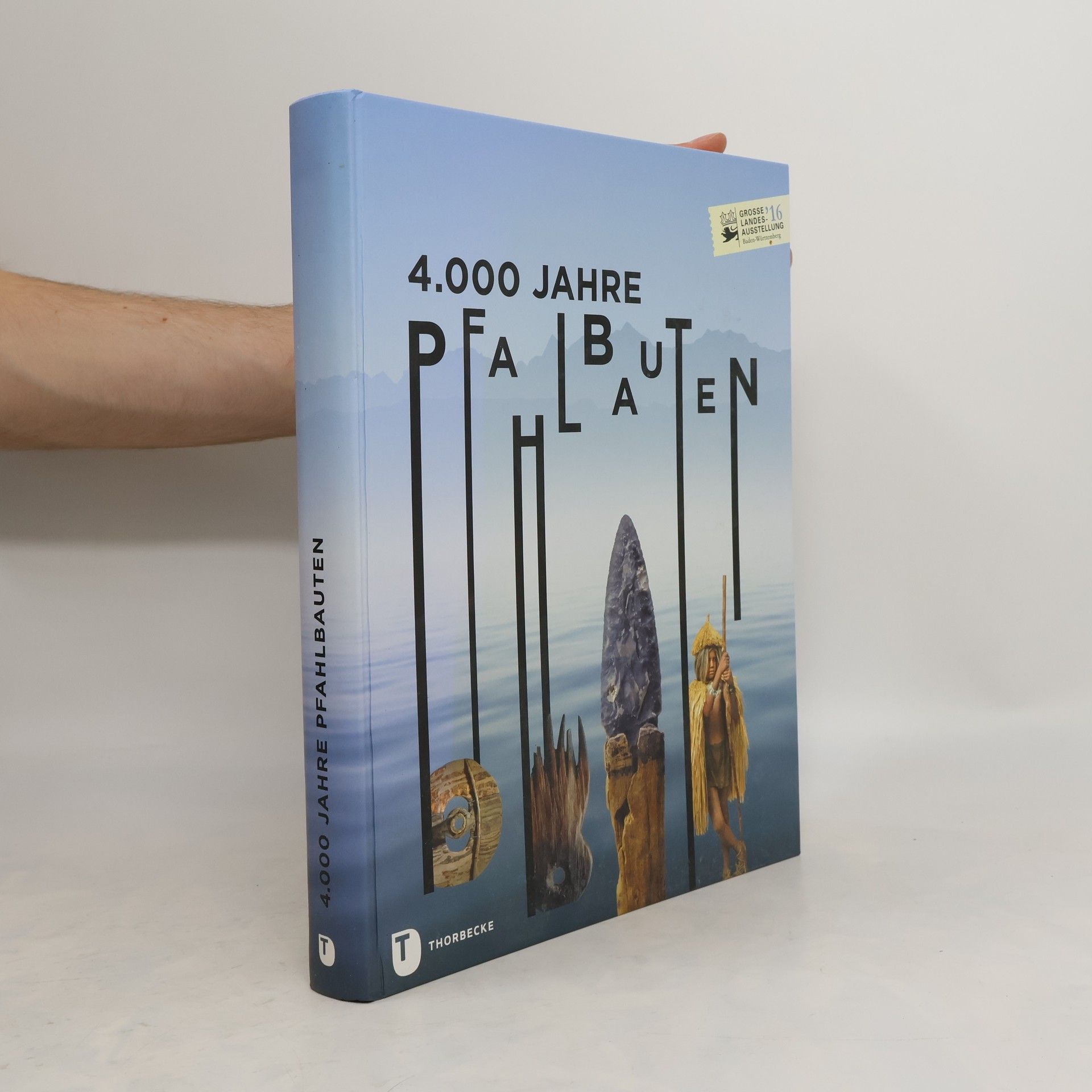 Susanne Rau 4.000 Jahre Pfahlbauten