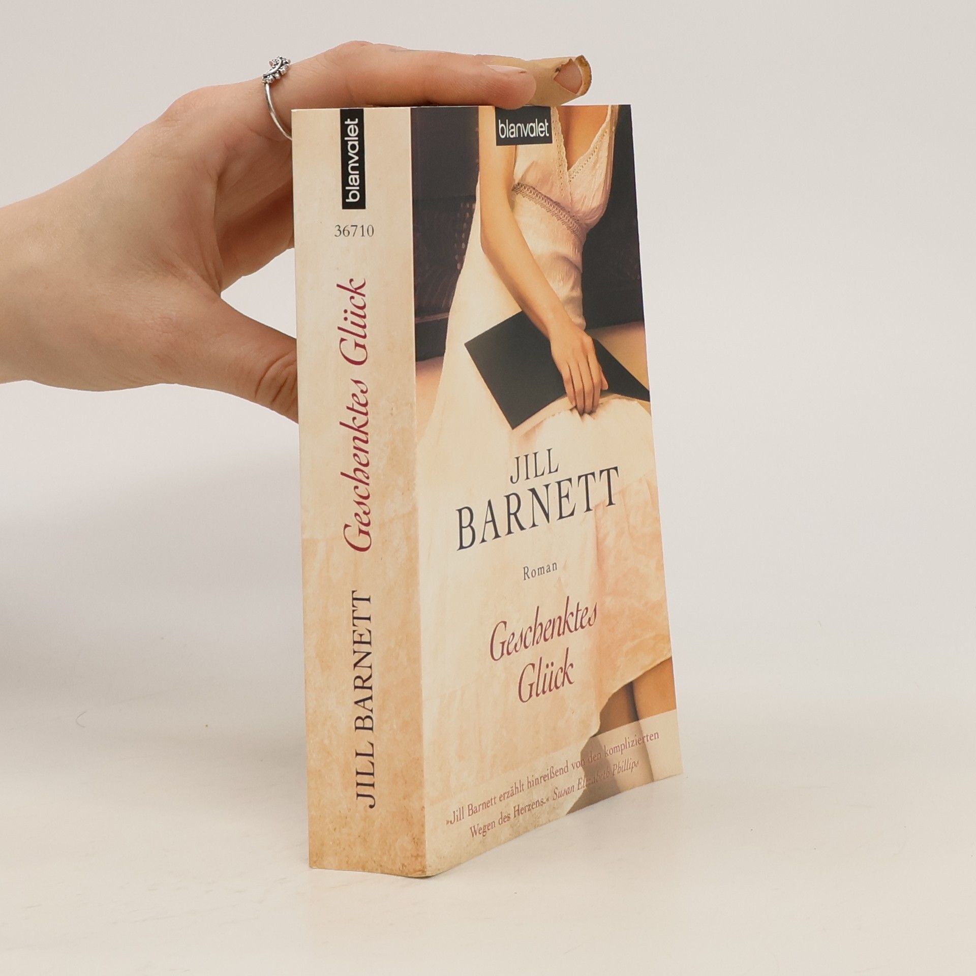 Jill Barnett Geschenktes Glück
