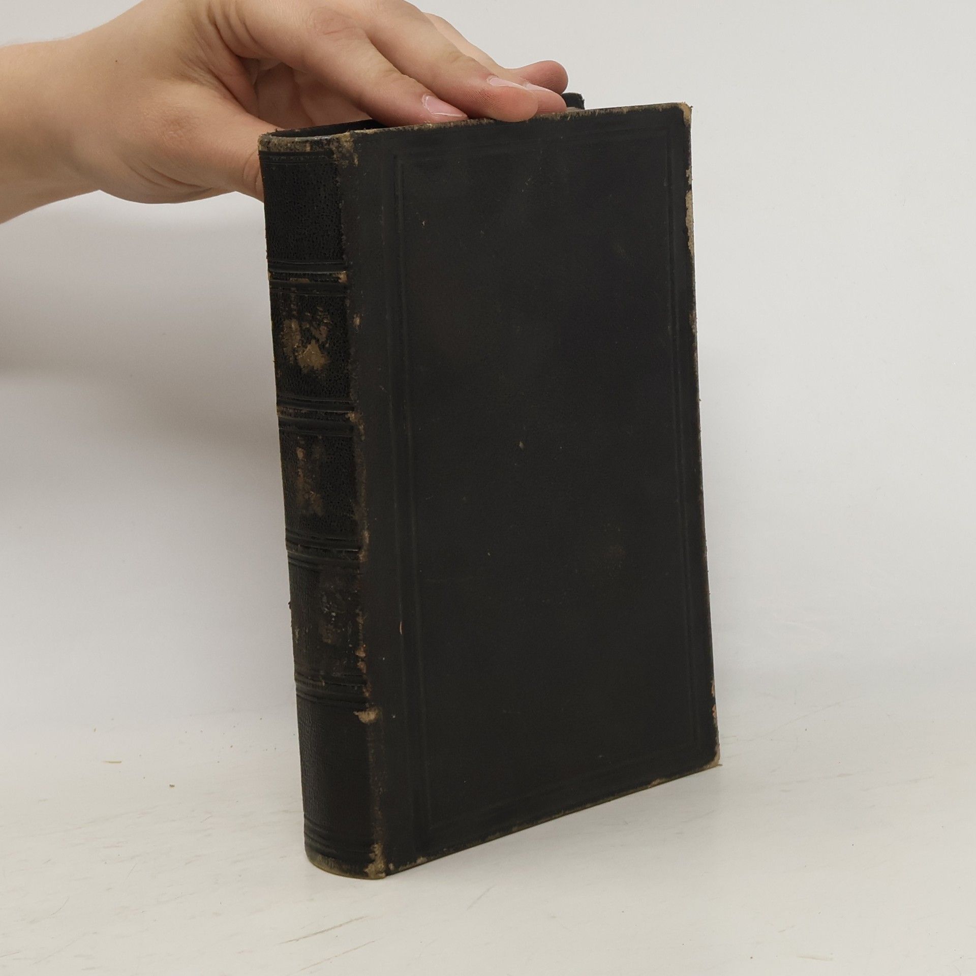 Johann Nepomuk Stöger Die Pilgerreise