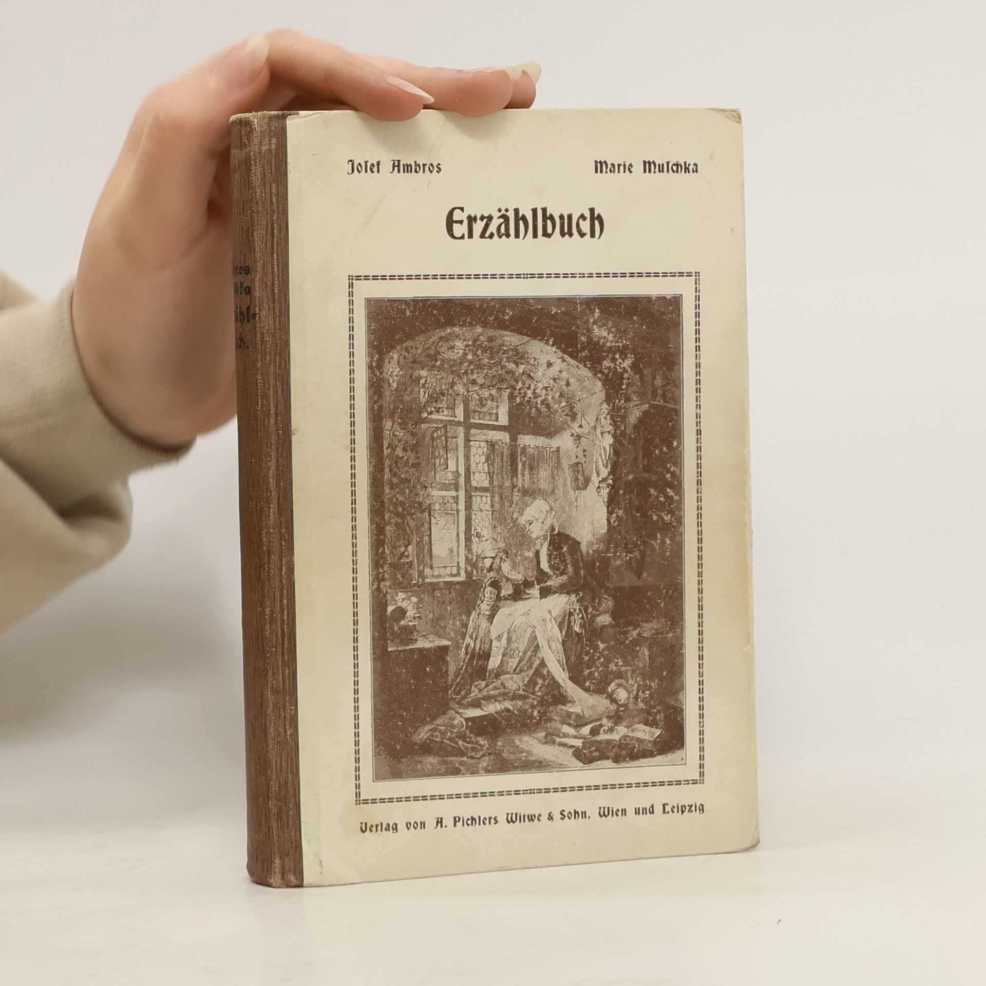 Josef Ambros Erzählbuch