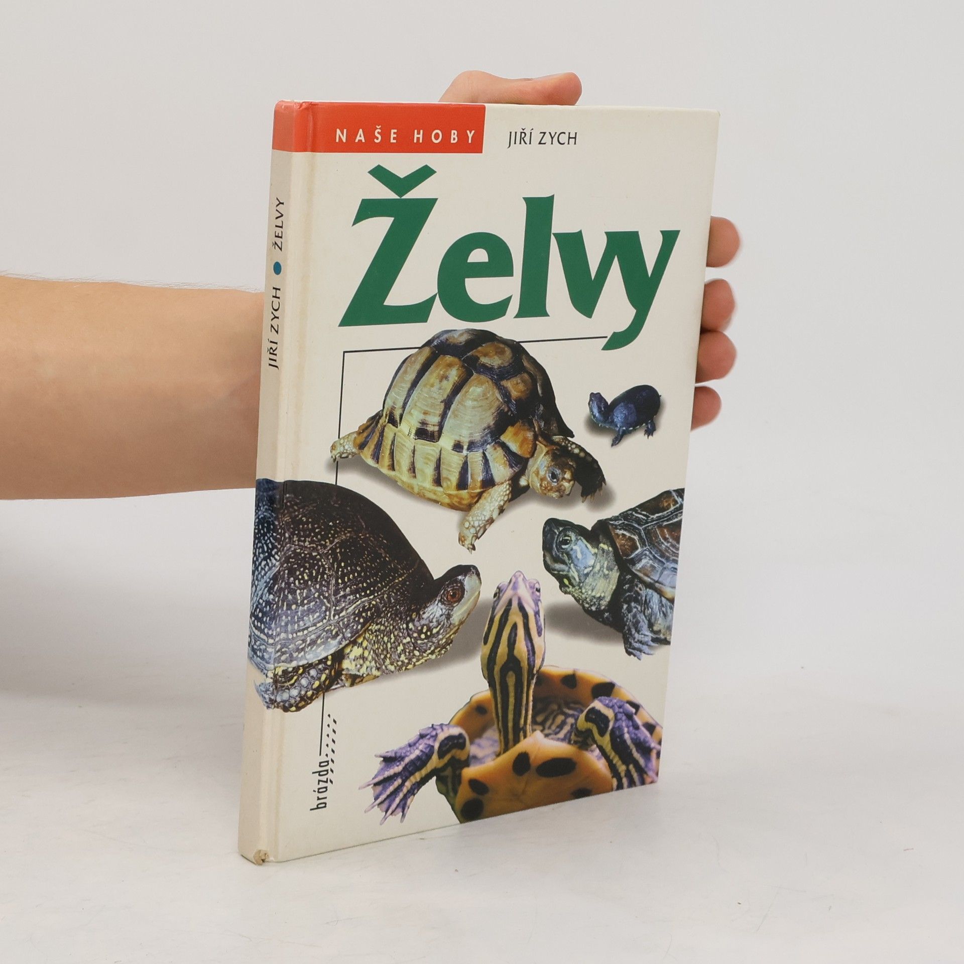 Jiri Zych Želvy