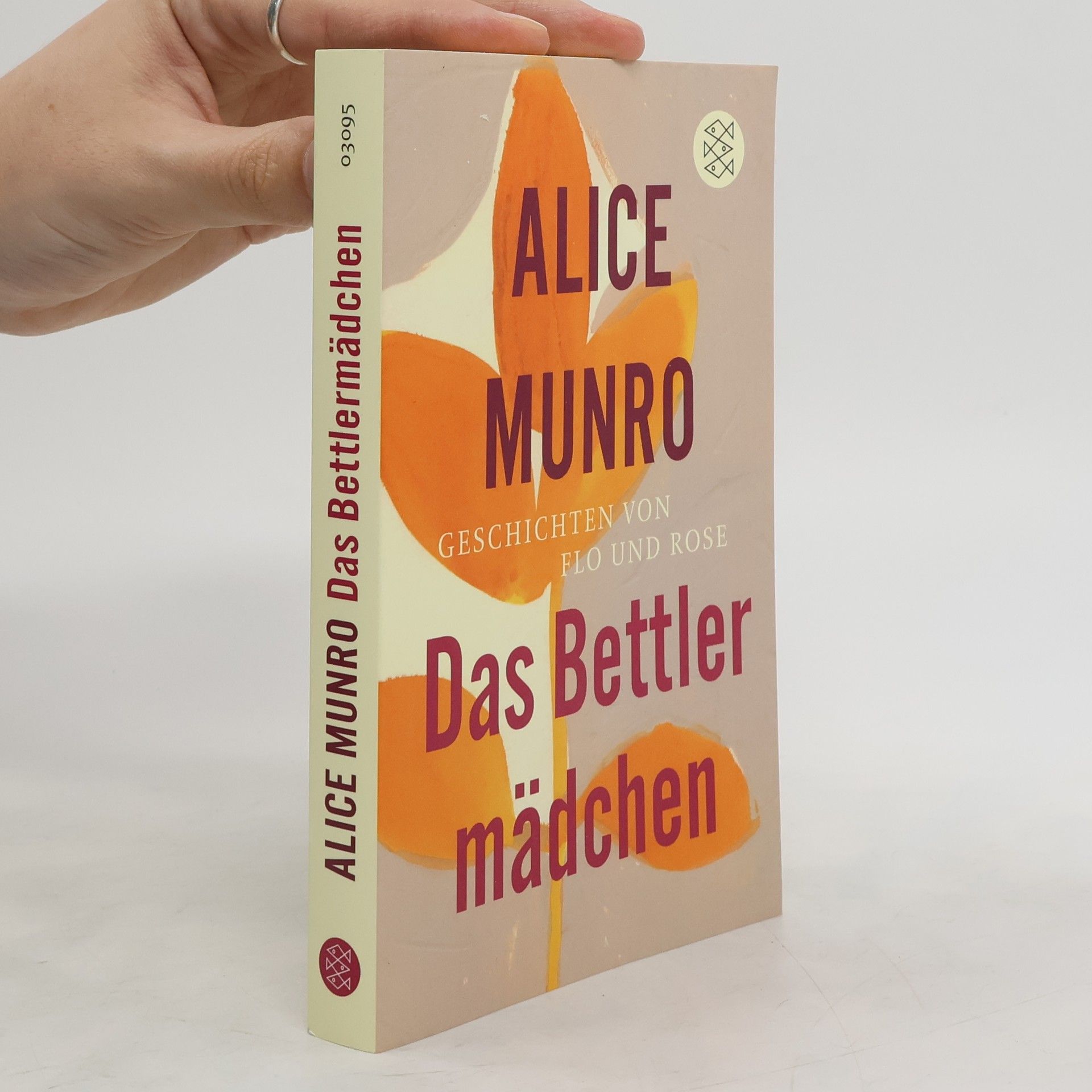 Alice Munro Das Bettlermädchen