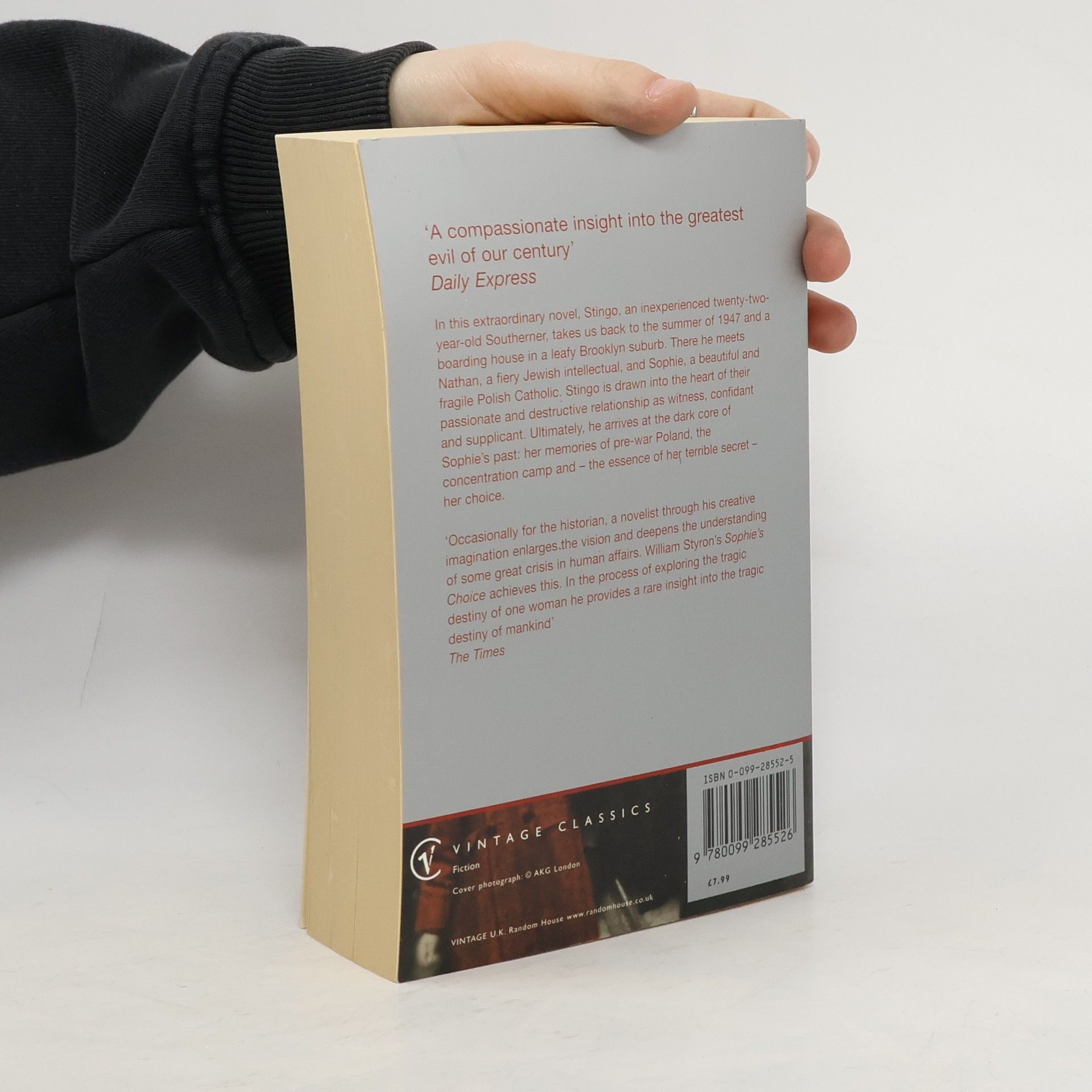 William Styron Sophie's choice
