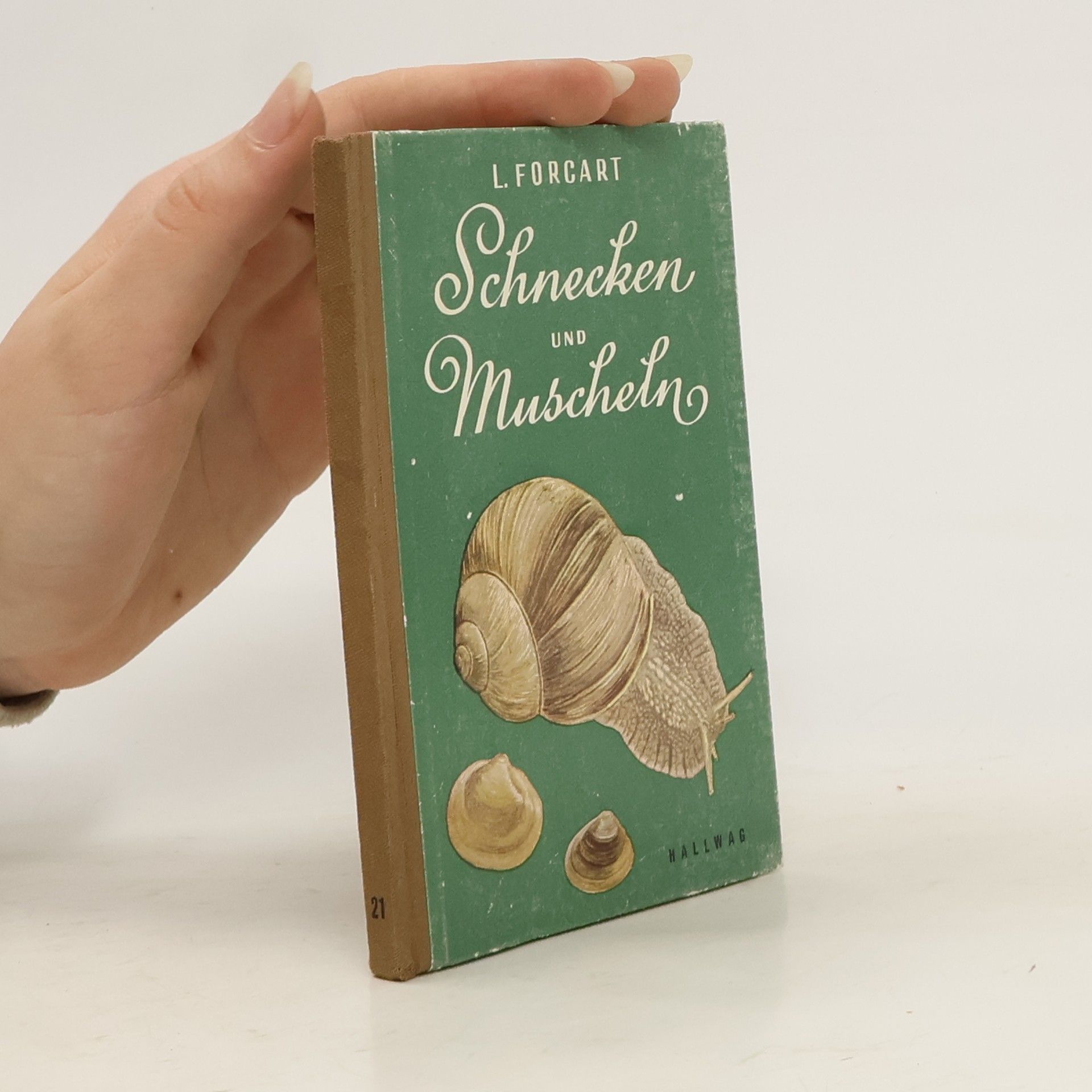 Lothart Forcart Schnecken und Muscheln