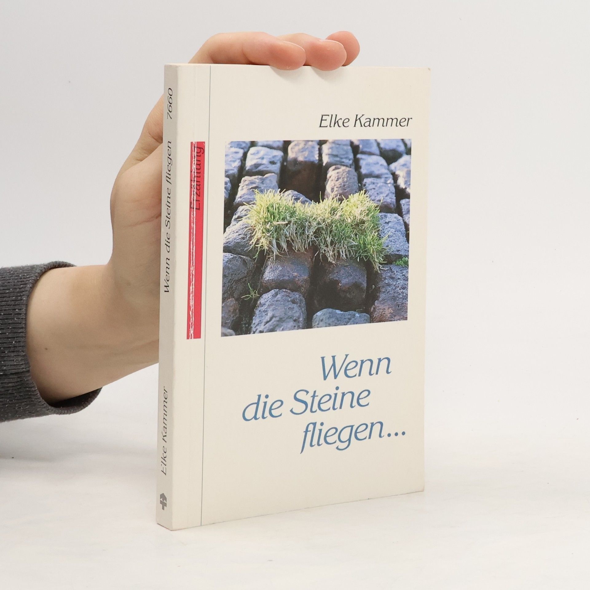 Elke Kammer Wenn die Steine fliegen