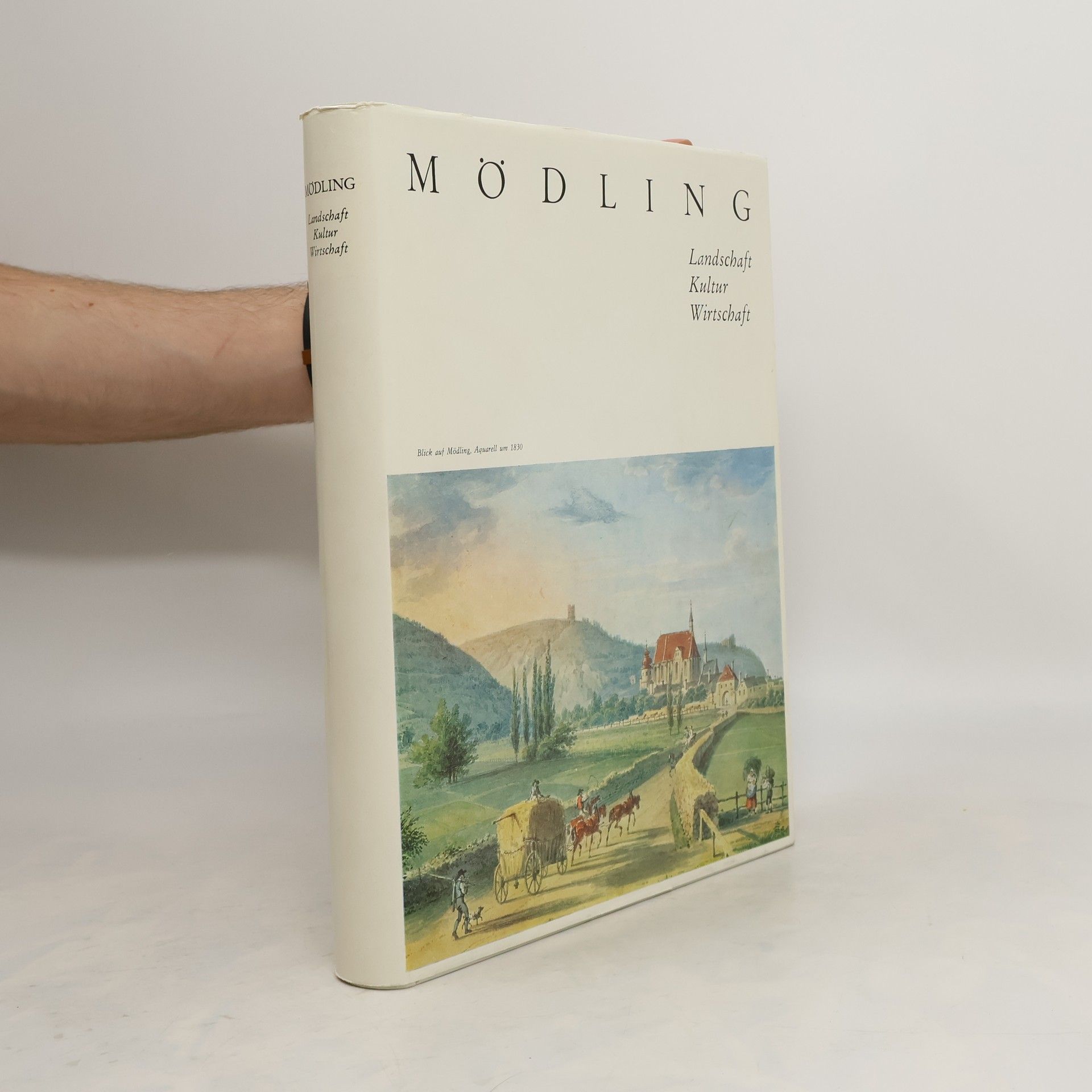 Kolektiv autorů Mödling