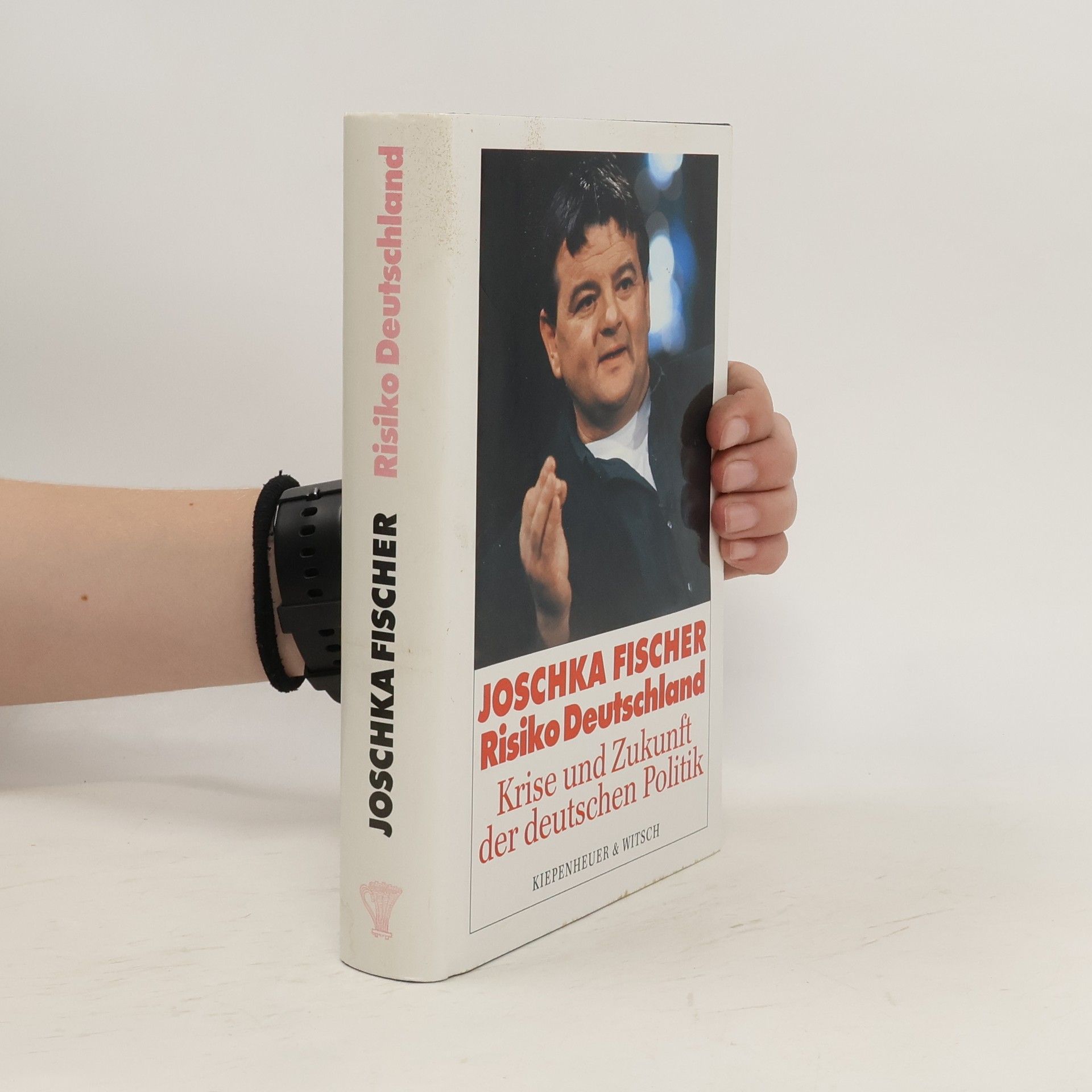 Joschka Fischer Risiko Deutschland
