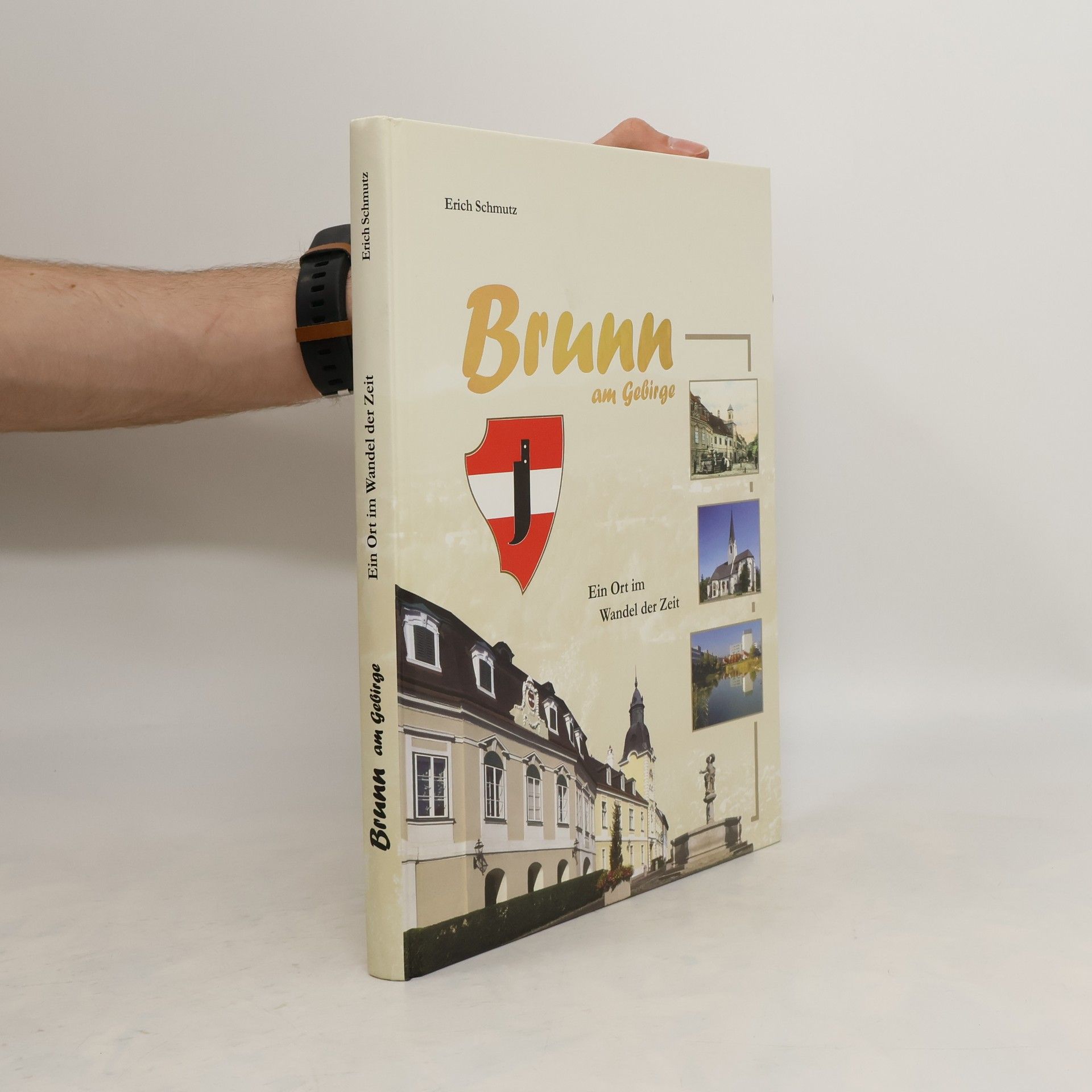 Erich Schmutzhard Brunn am Gebirge. Ein Ort im Wandel der Zeit