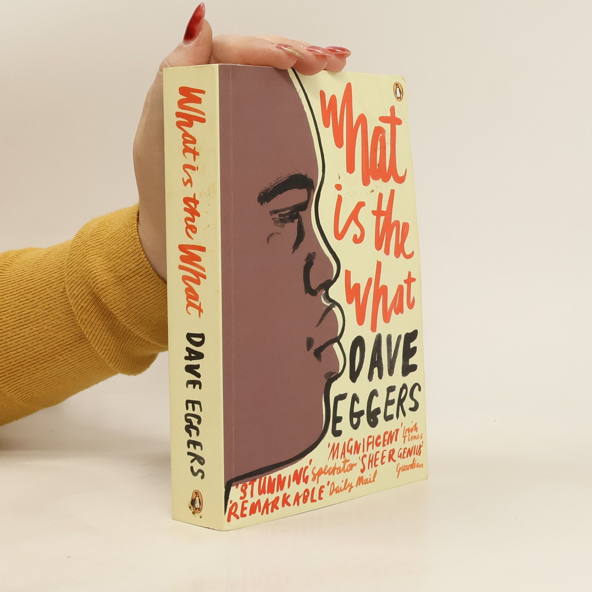 Dave Eggers What is the What