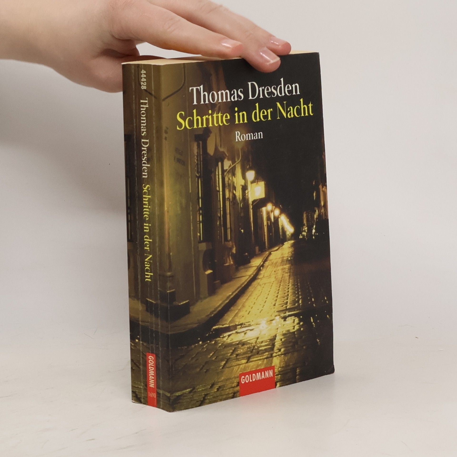 Thomas Dresden Schritte in der Nacht