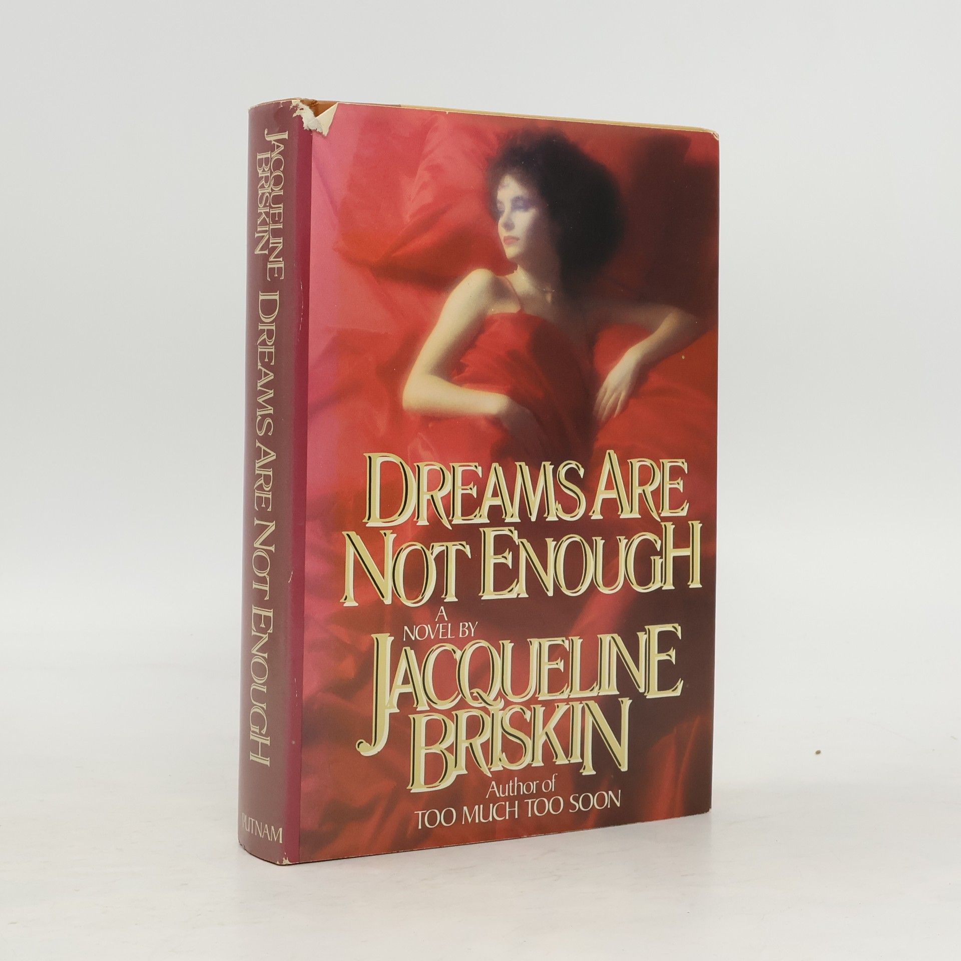 Jacqueline Briskin Dreams Are Not Enough