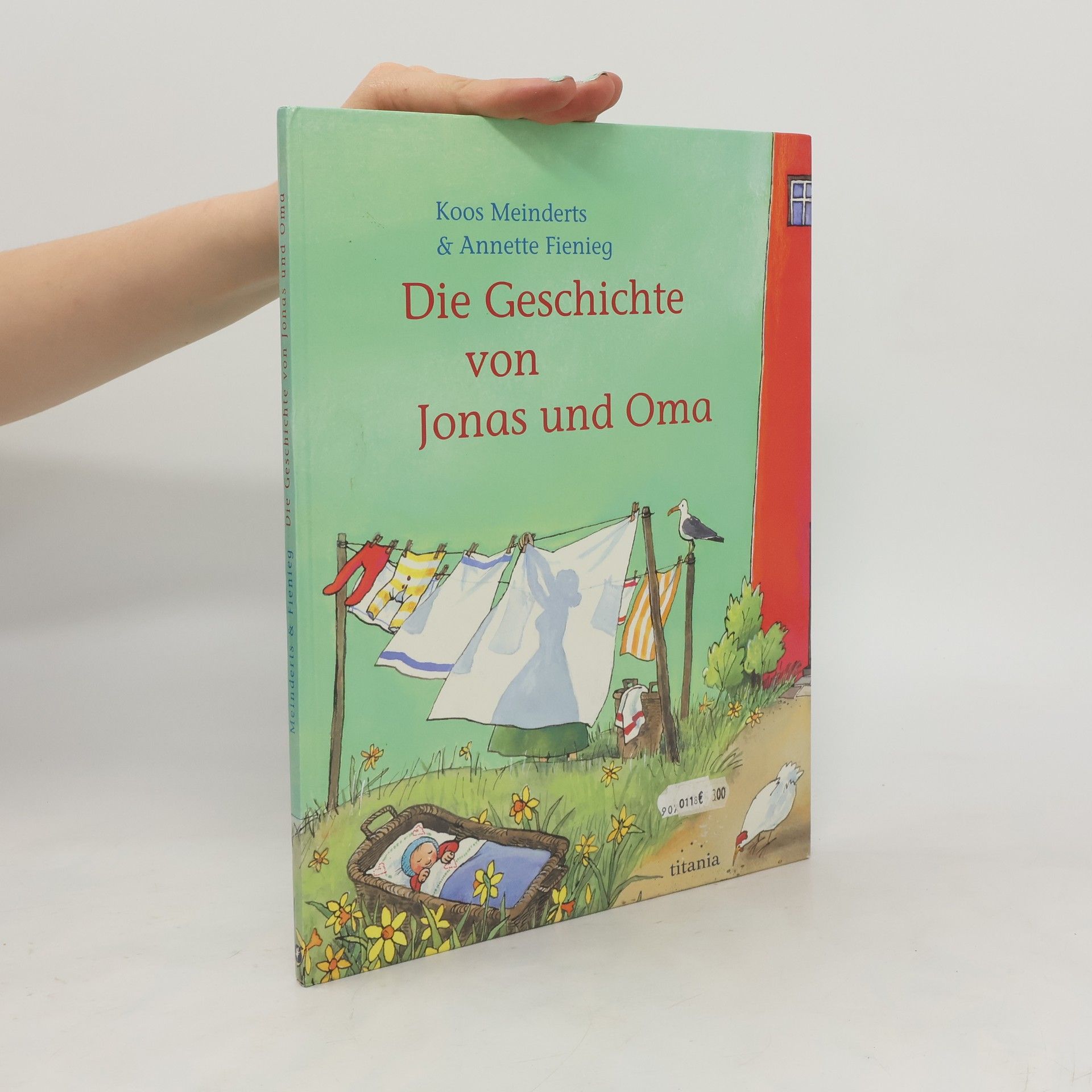 Koos Meinderts Die Geschichte von Jonas und Oma