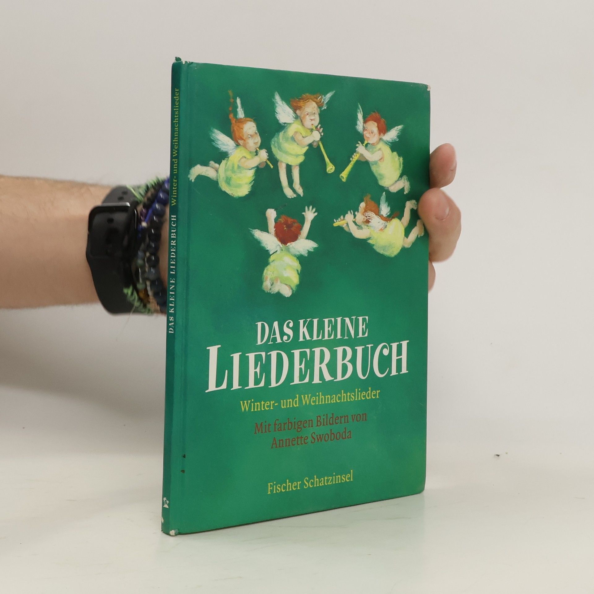 Catrin Frischer Das kleine Liederbuch. Winter- und Weihnachtslieder