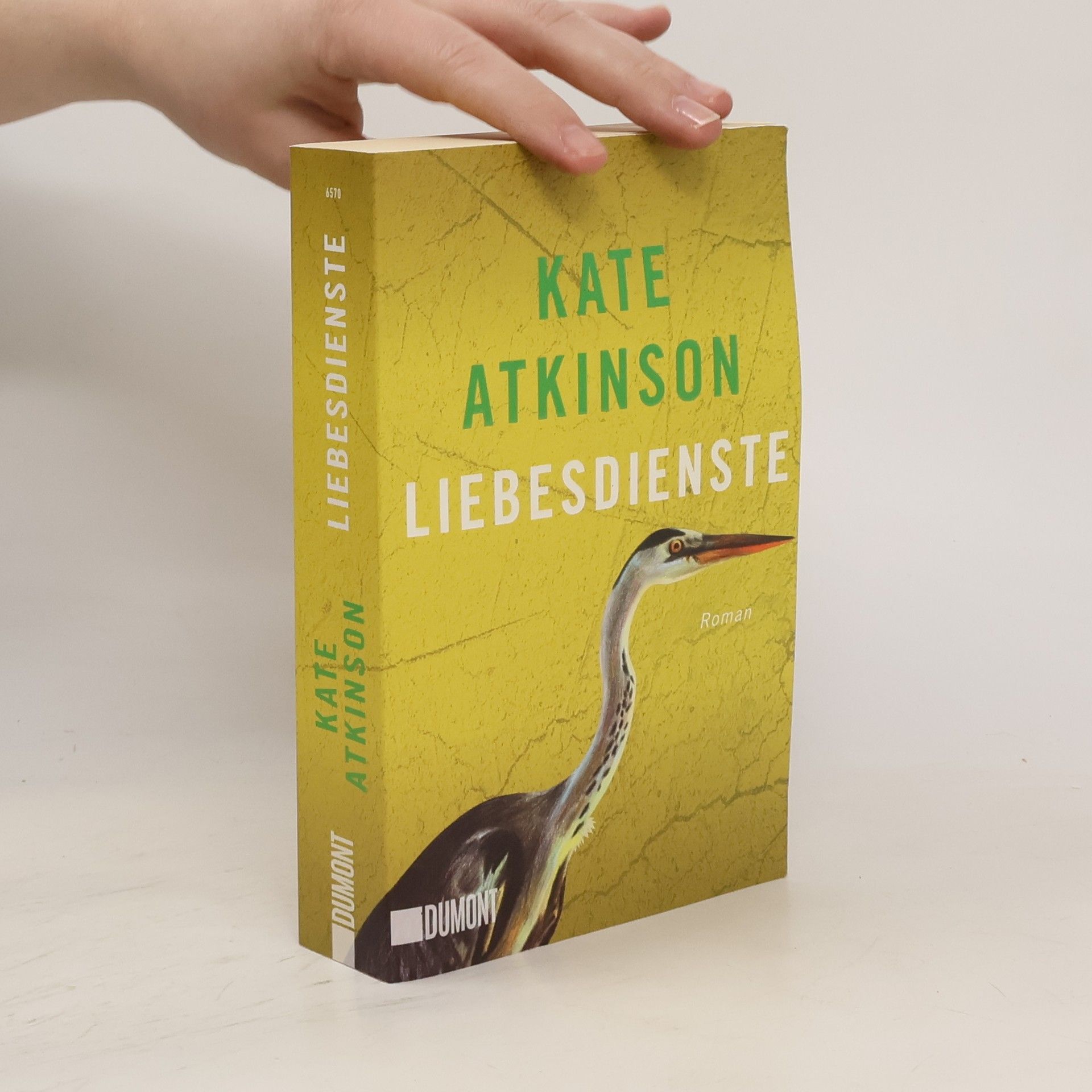 Kate Atkinson Liebesdienste