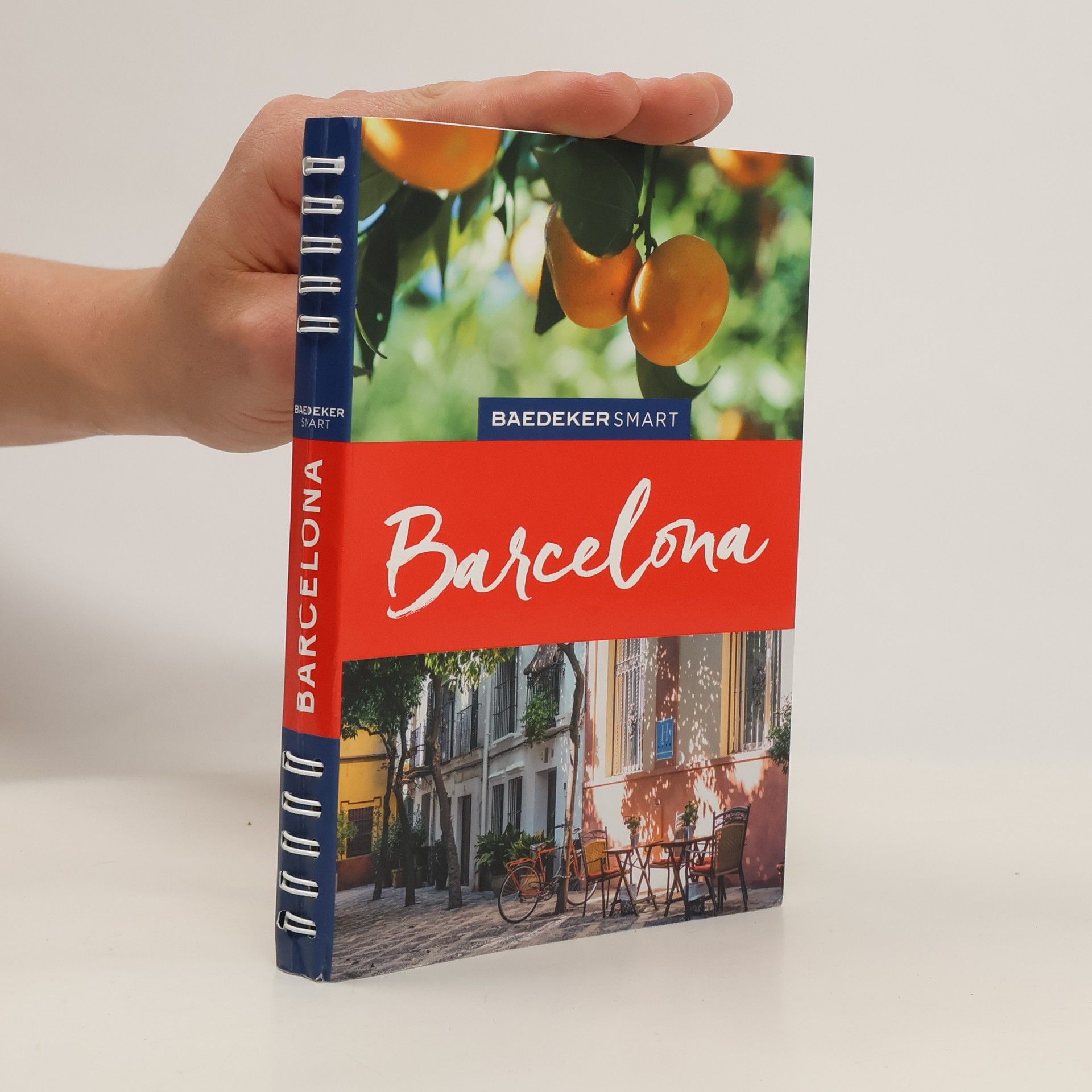 Lothar Schmidt Barcelona
