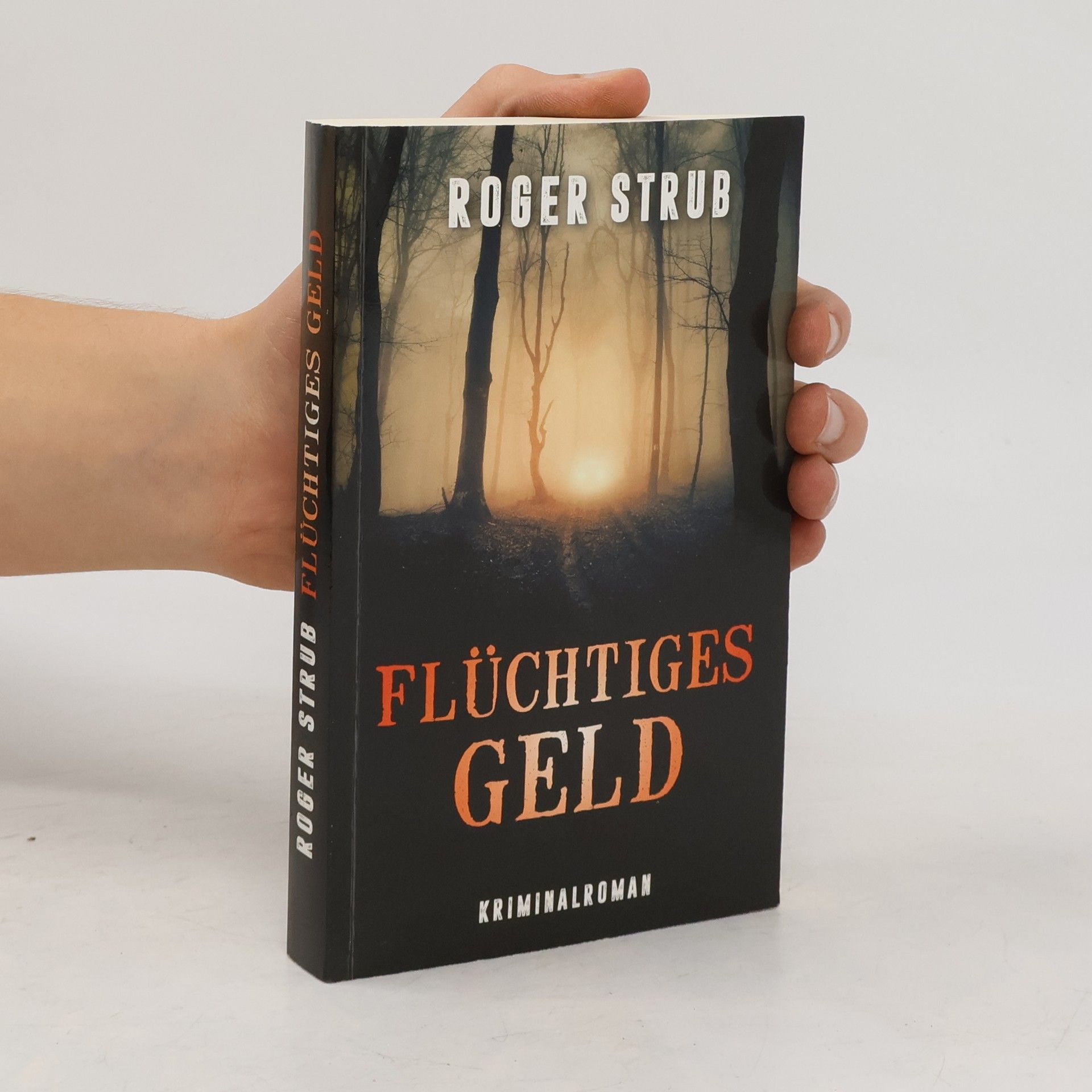 Roger Strub Flüchtiges Geld