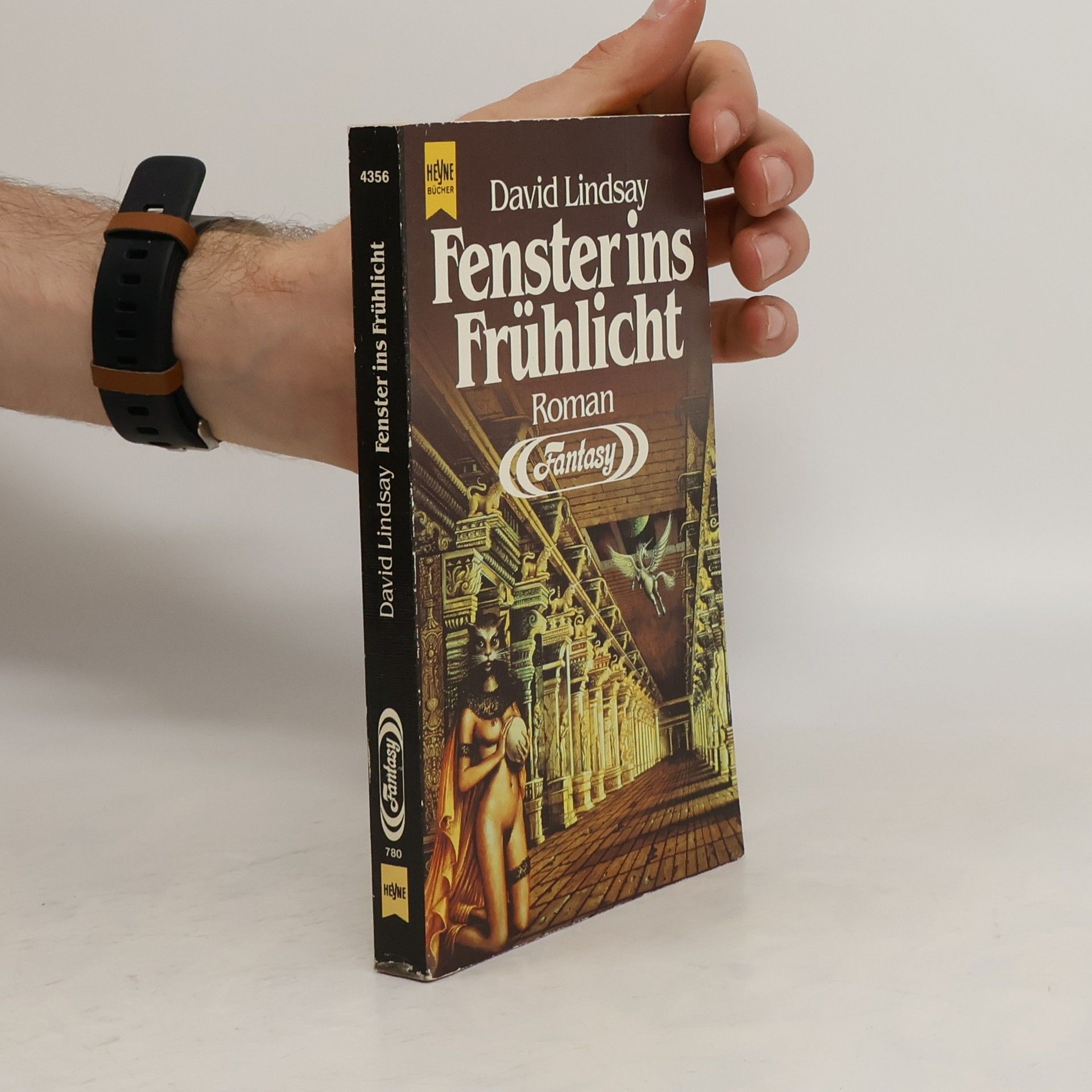 David Lindsay Fenster ins Frühlicht. Fantasy Roman.