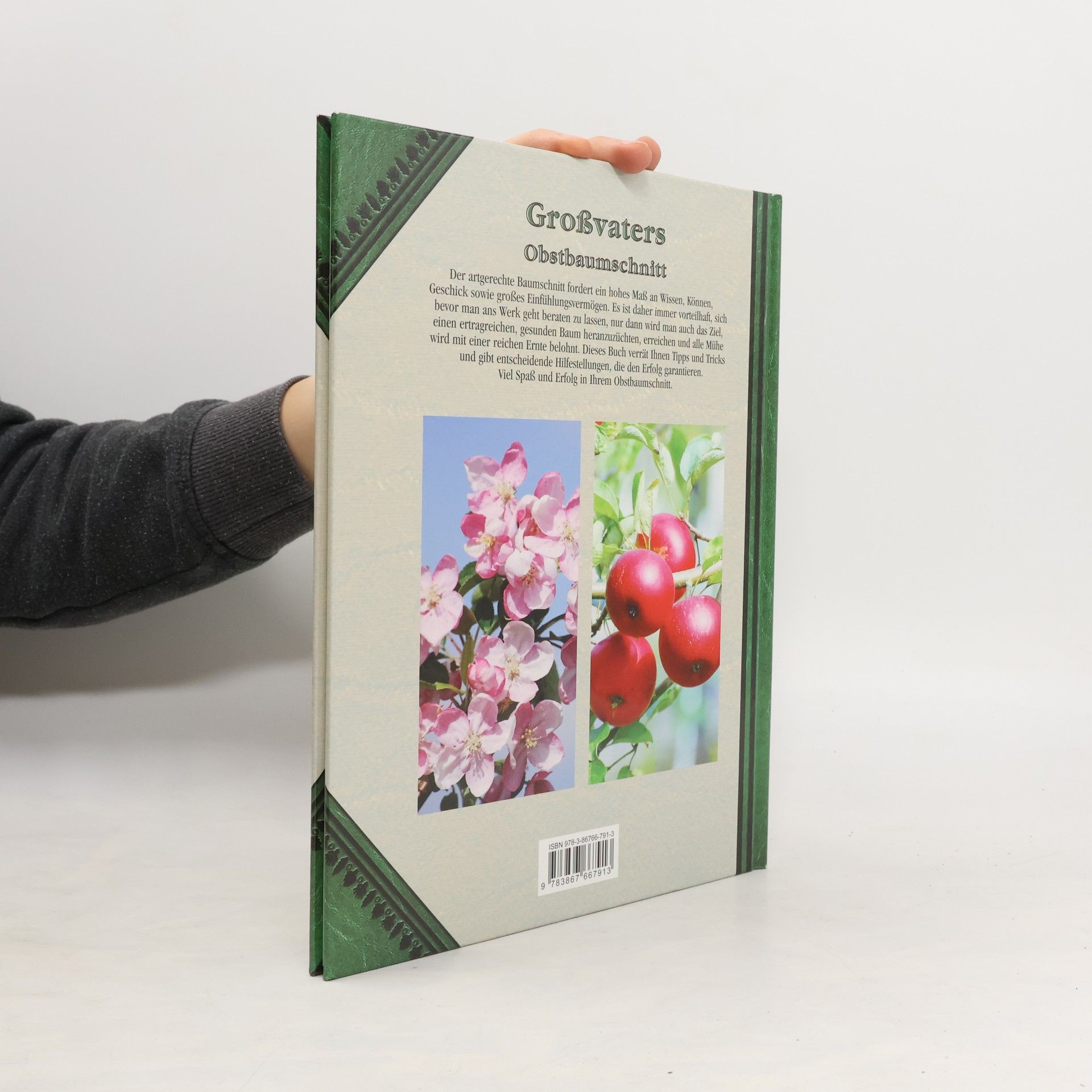 Großvaters Obstbaumschnitt