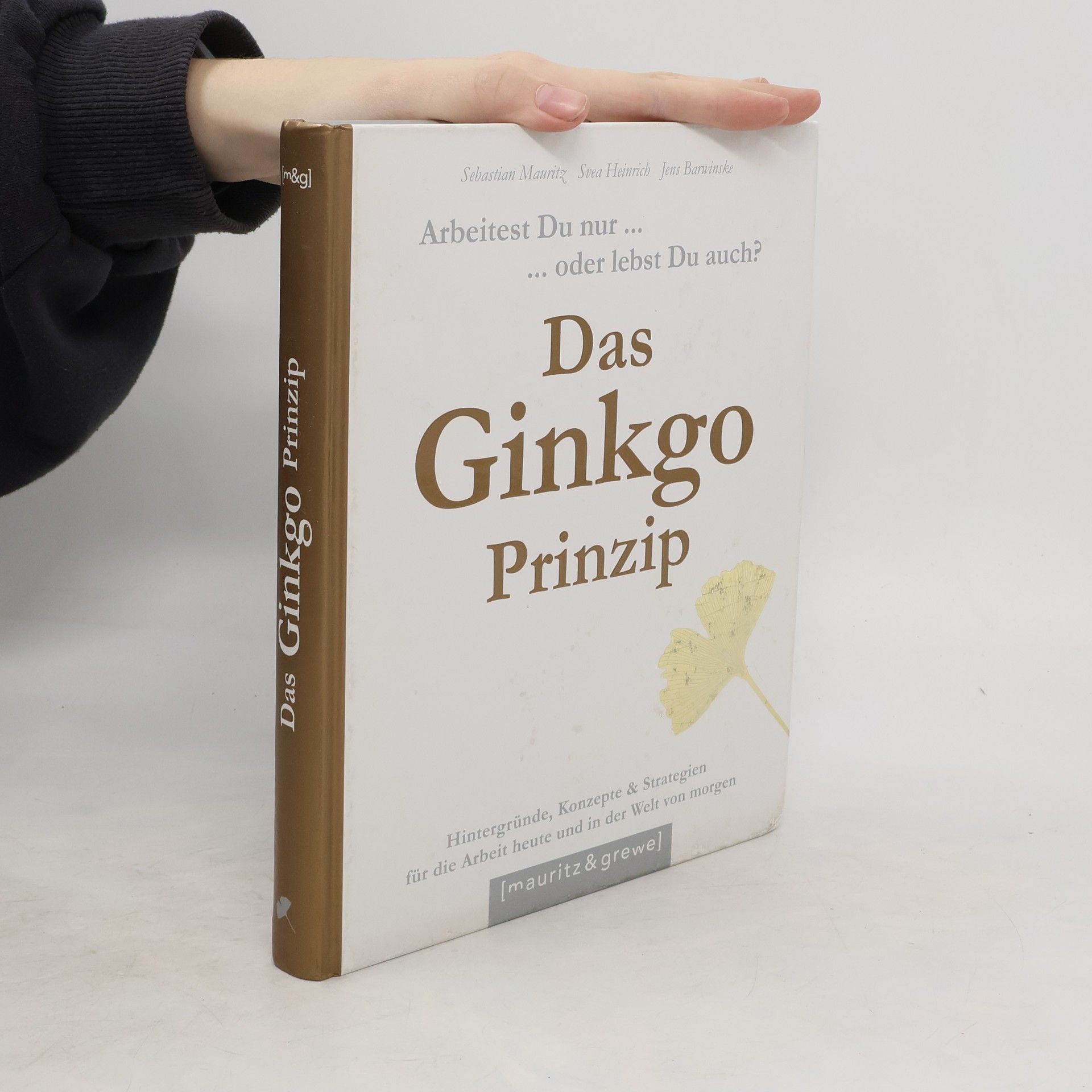 Sebastian Mauritz Das Ginkgo-Prinzip