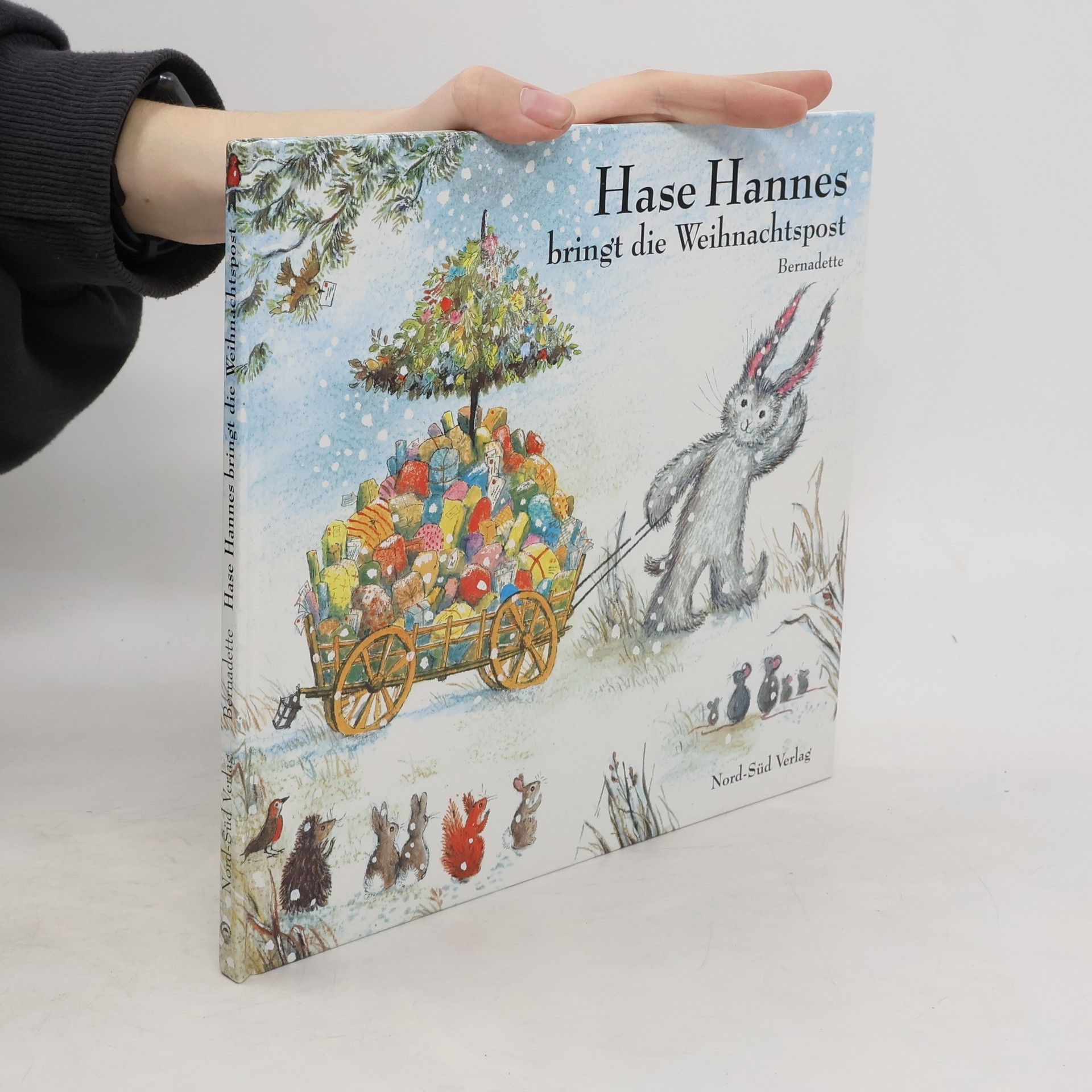 Bernadette Watts Hase Hannes bringt die Weihnachtspost