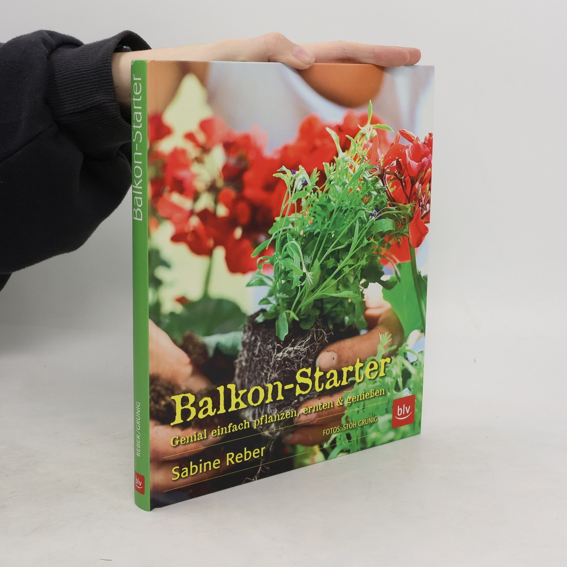 Sabine Reber Balkon-Starter
