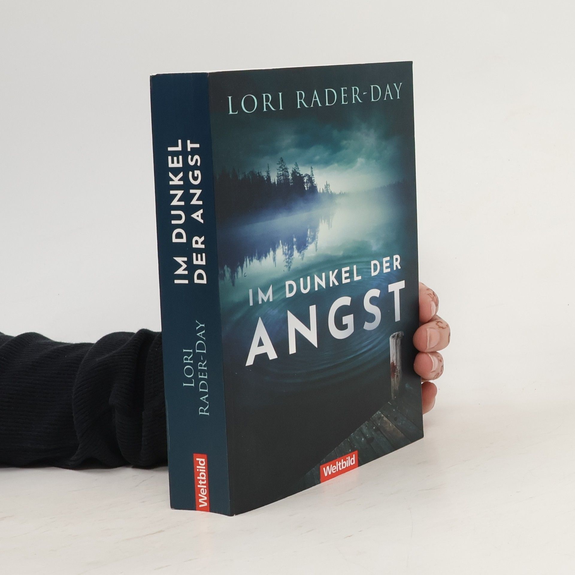 Lori Rader-Day Im Dunkel der Angst