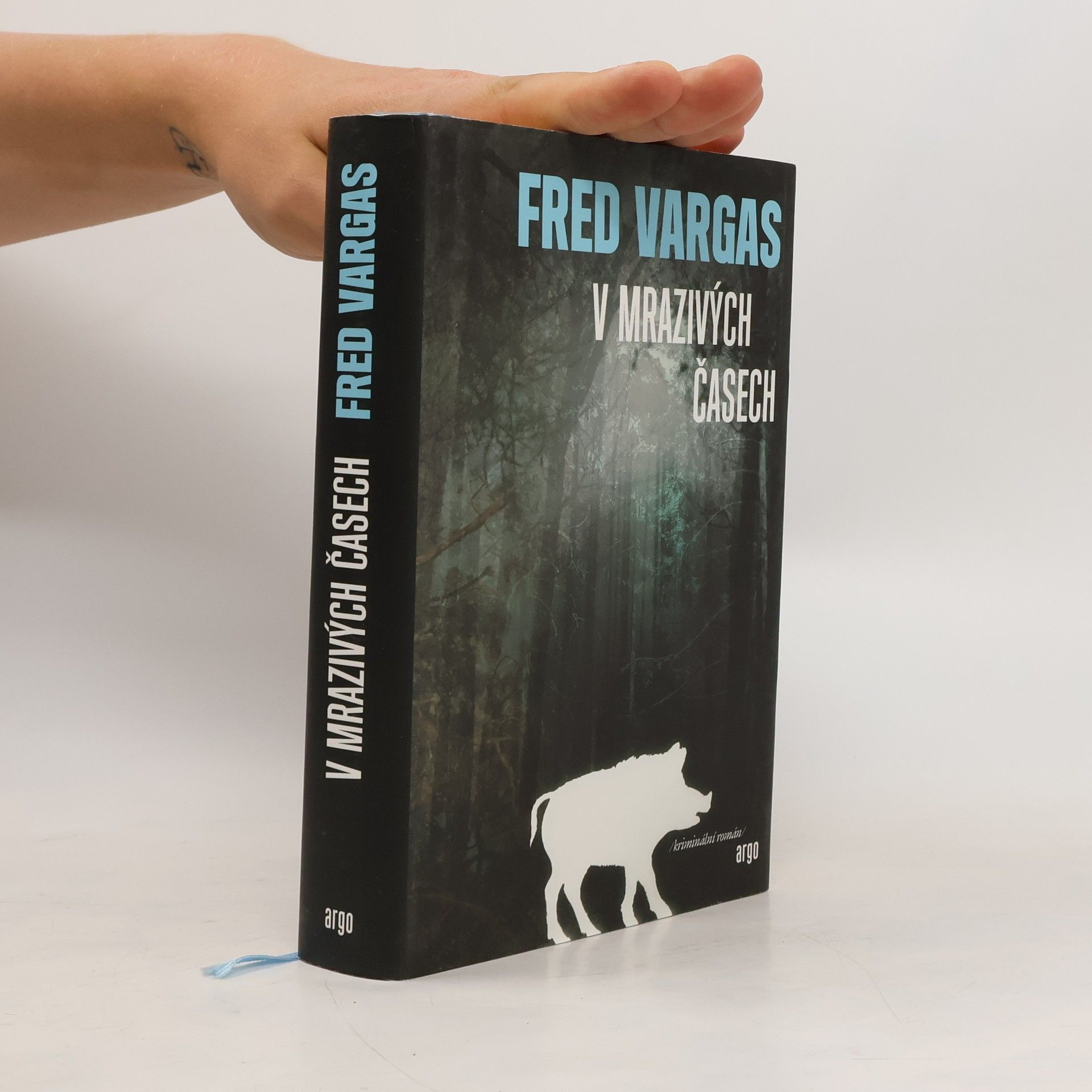 Fred Vargas V mrazivých časech