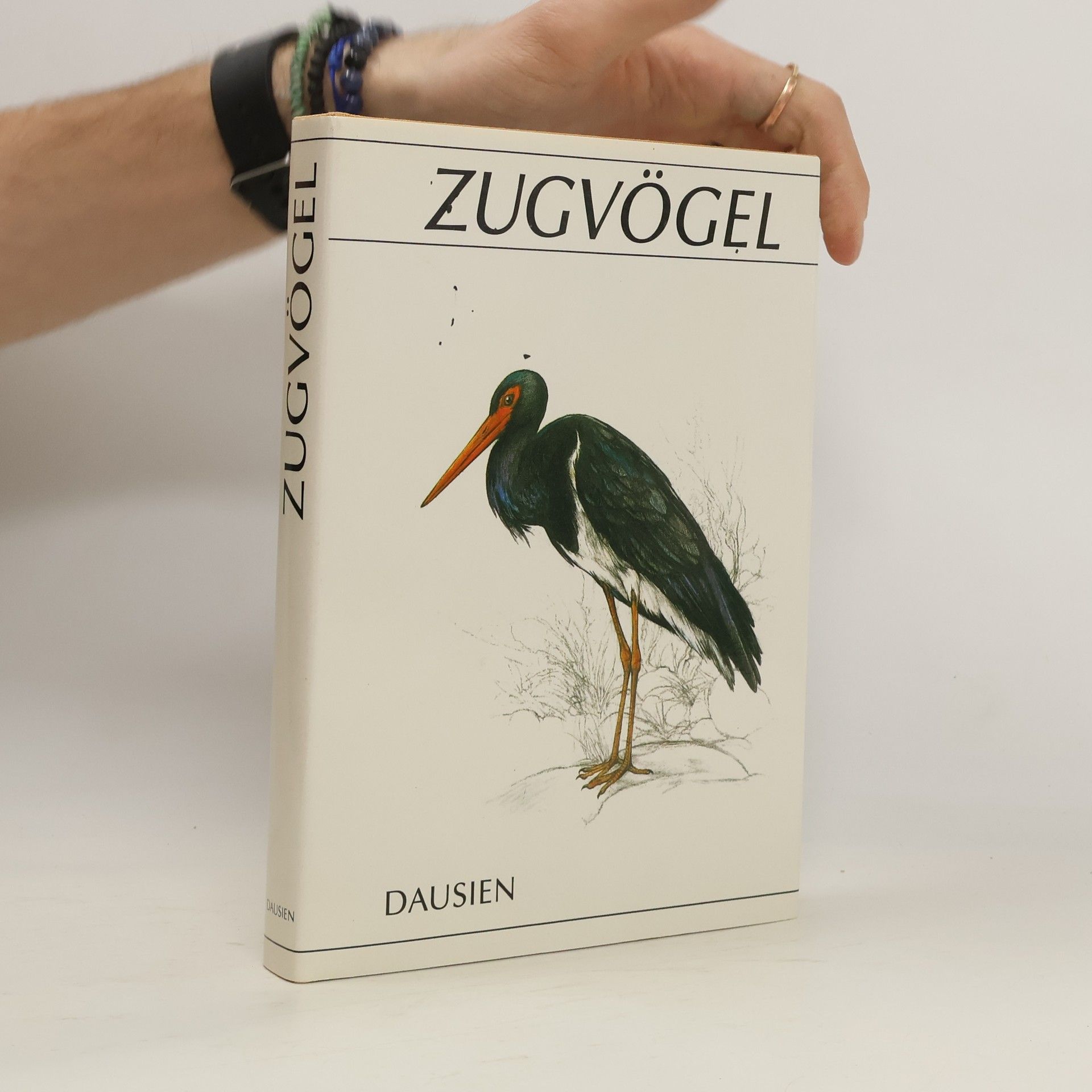 Vladimír Bejček Zugvögel