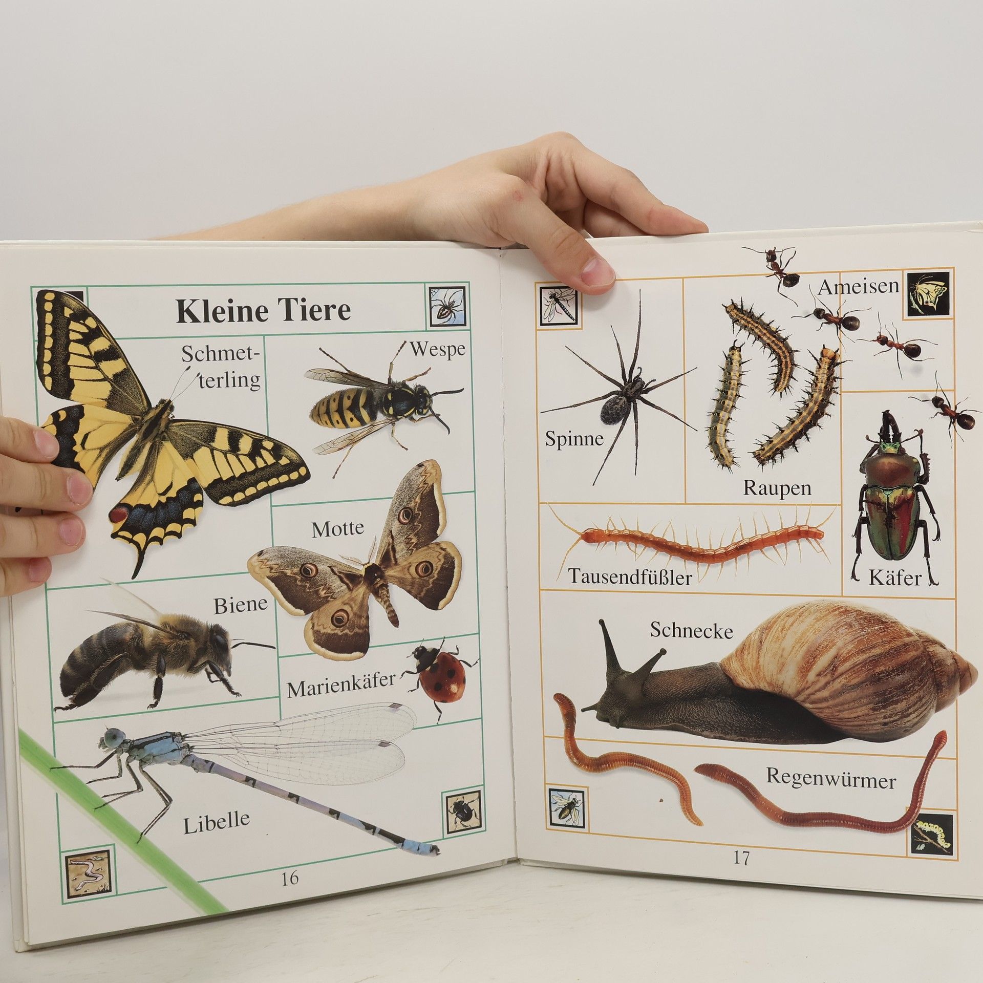 Autorenkollektiv Mein erstes Tierbuch