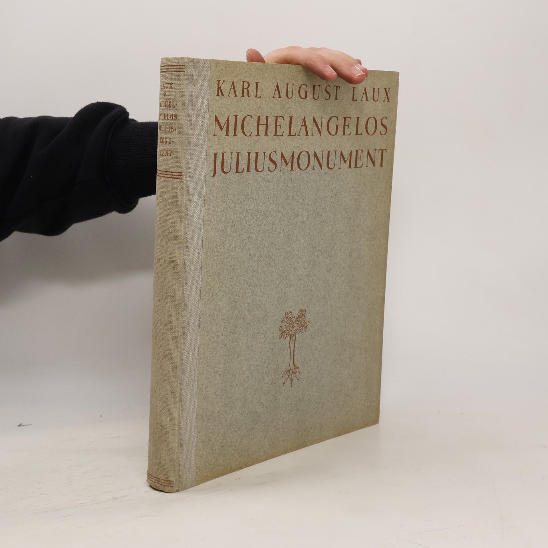 Michelangelos Juliusmonument