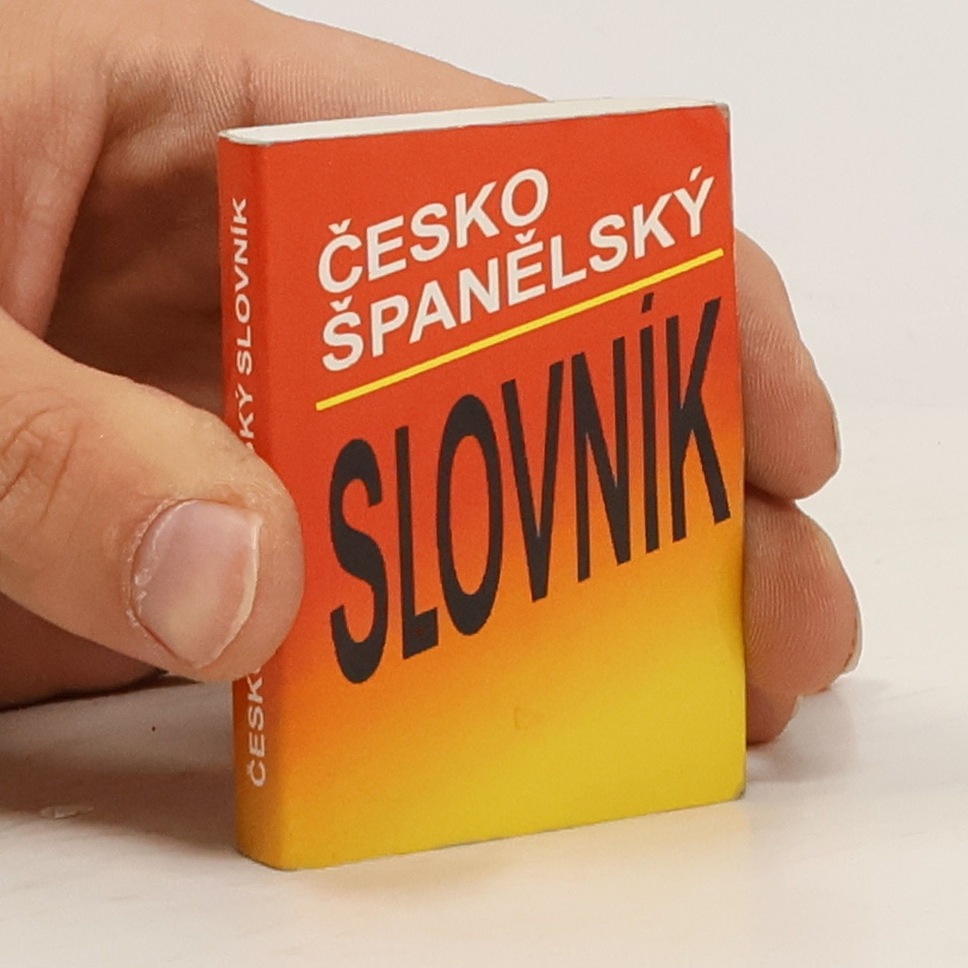 kolektiv Slovník česko-španělský