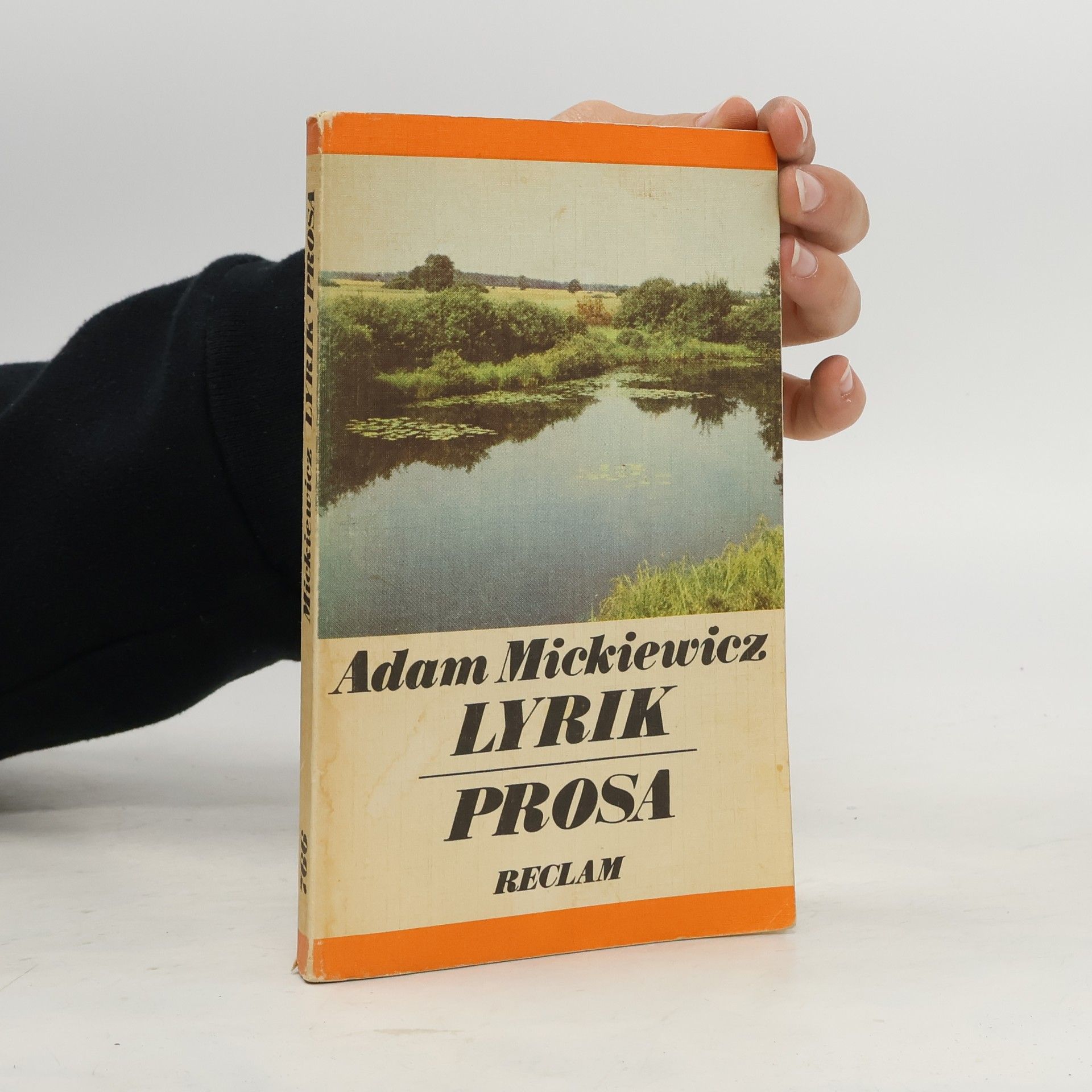 Adam Mickiewicz Lyrik / Prosa