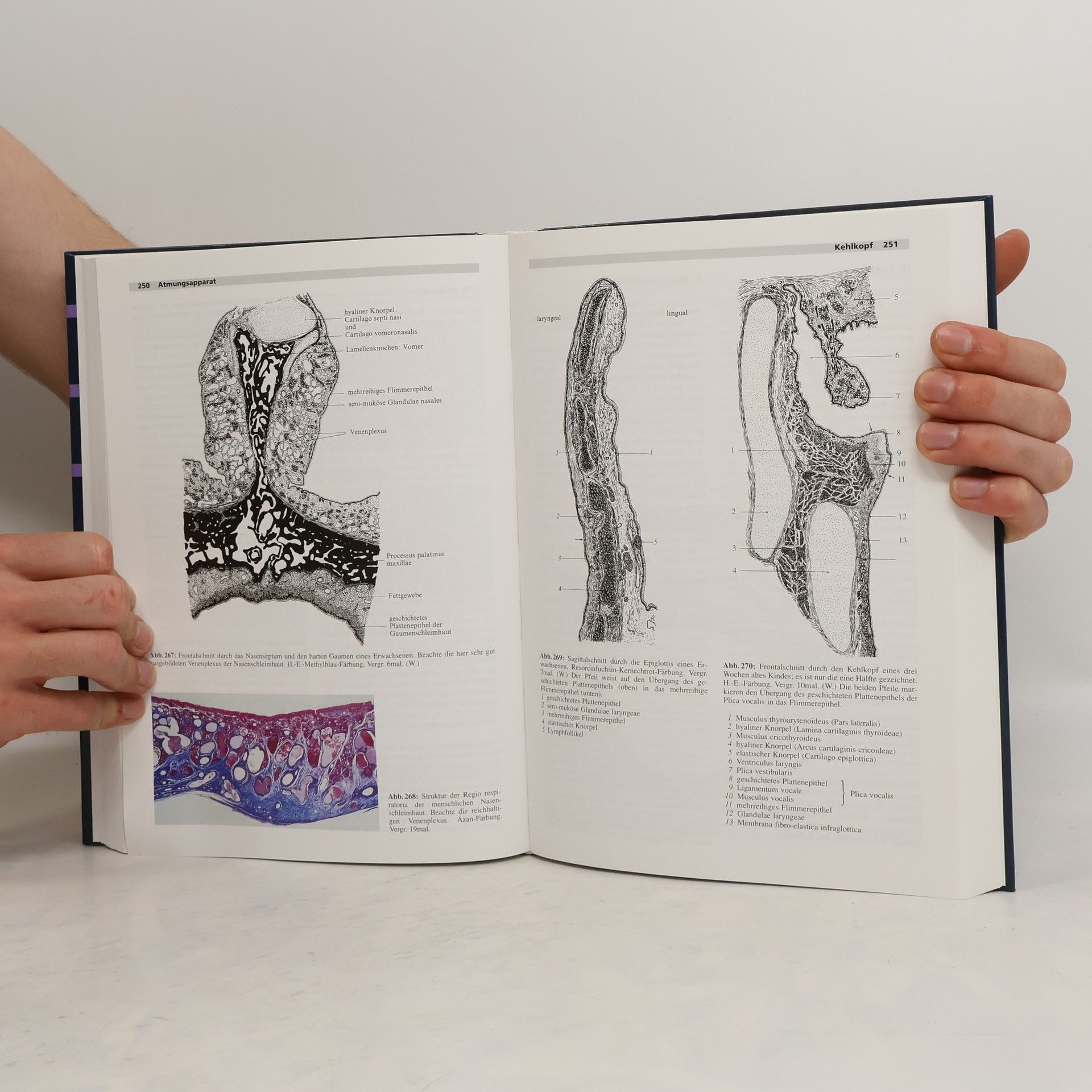 Otto Bucher Cytologie, Histologie und mikroskopische Anatomie des Menschen