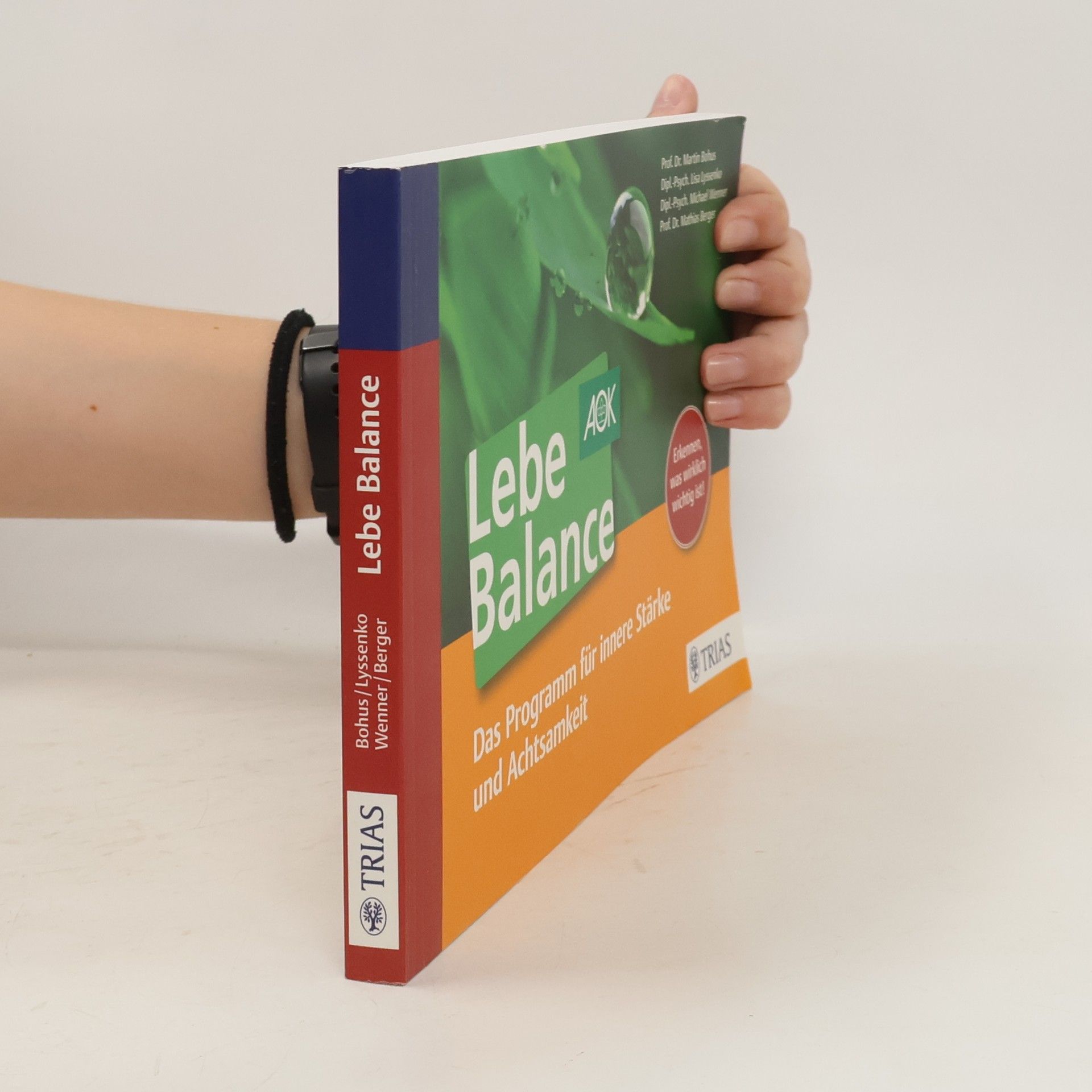 Martin Bohus Lebe Balance