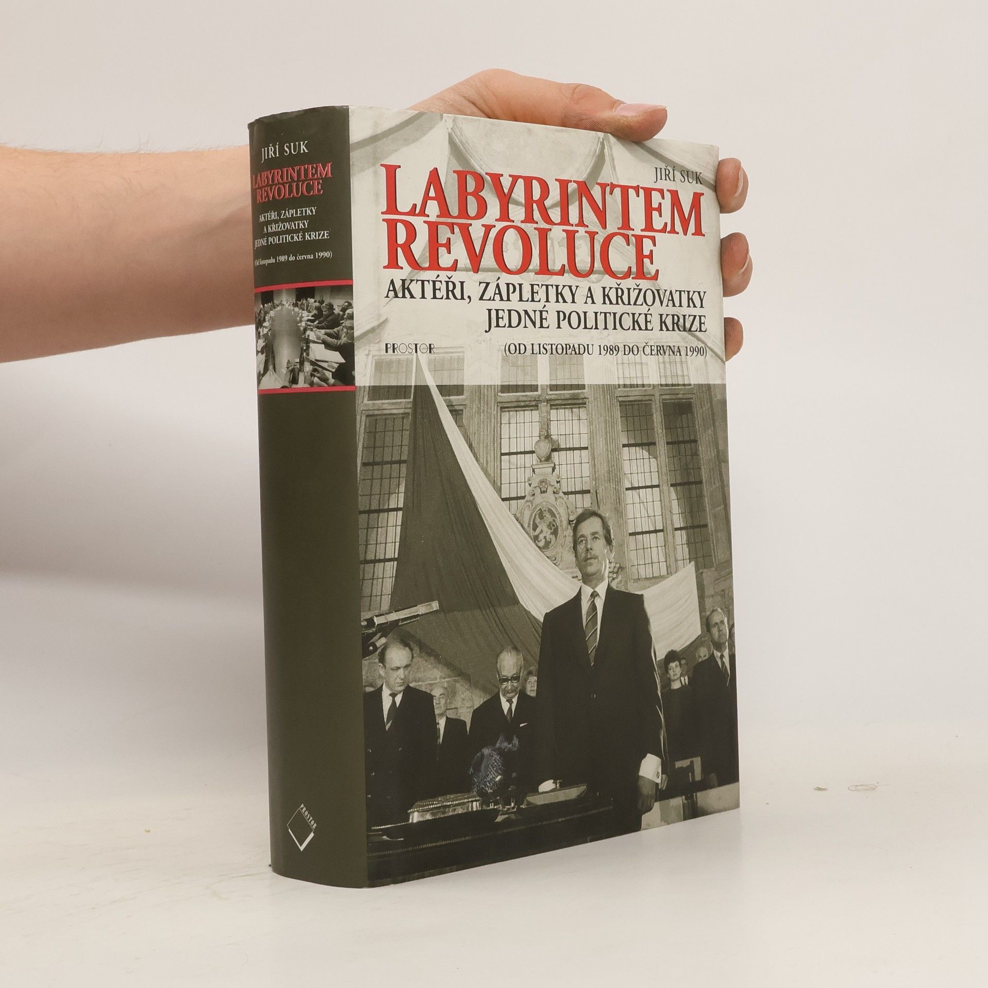 Jiří Suk Labyrintem revoluce. Aktéři, zápletky a křižovatky jedné politické krize (od listopadu 1989 do června 1990)