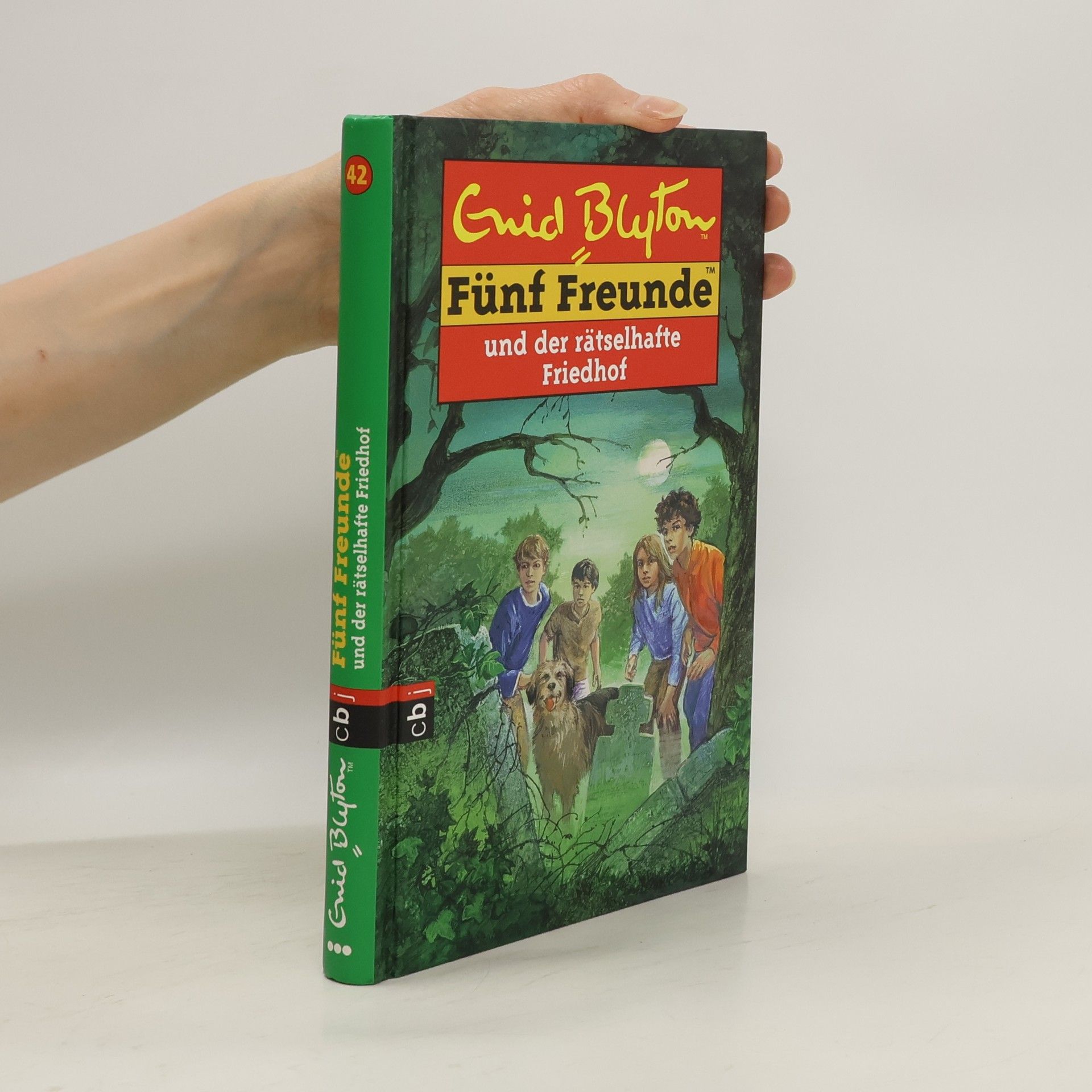Enid Blyton Fünf Freunde und der rätselhafte Friedhof