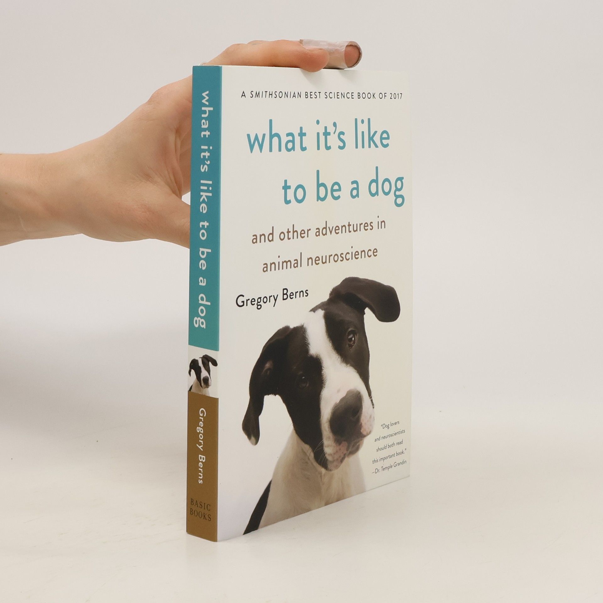 Gregory Bernstein What It's Like to Be a Dog
