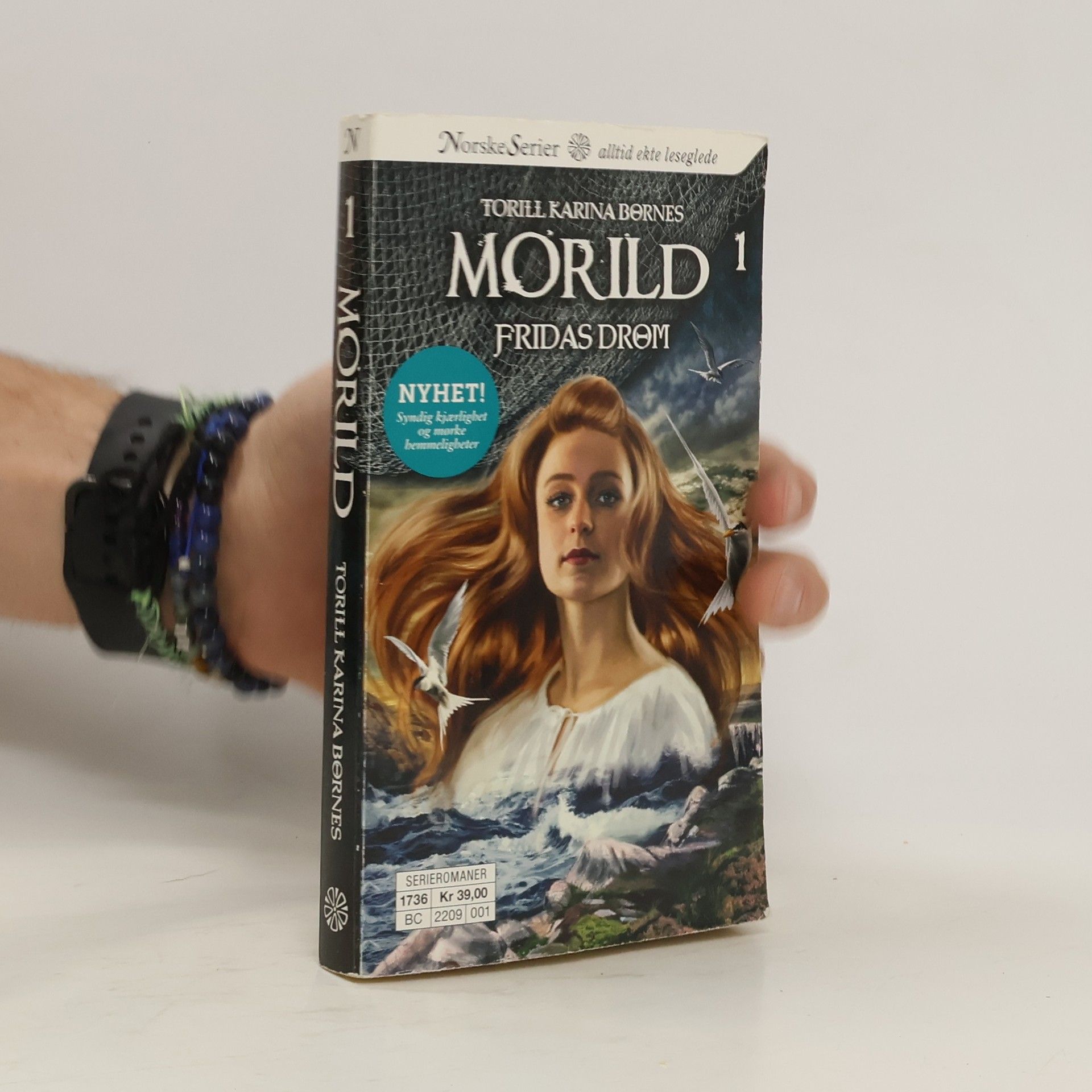 Torill Karina Børnes Morild 1. Fridas drøm