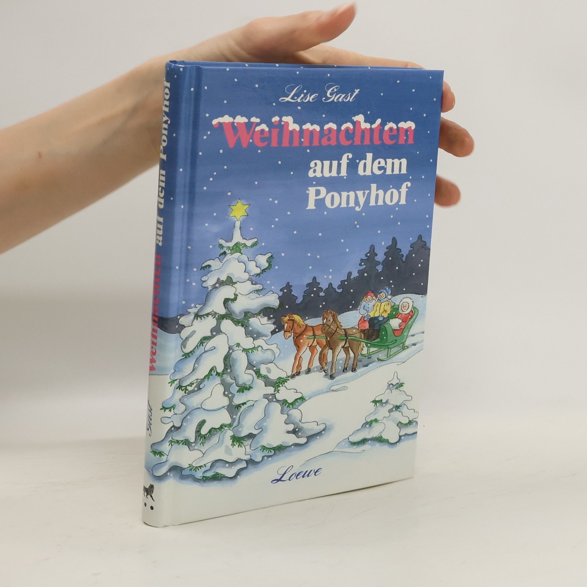 Lise Gast Weihnachten auf dem Ponyhof